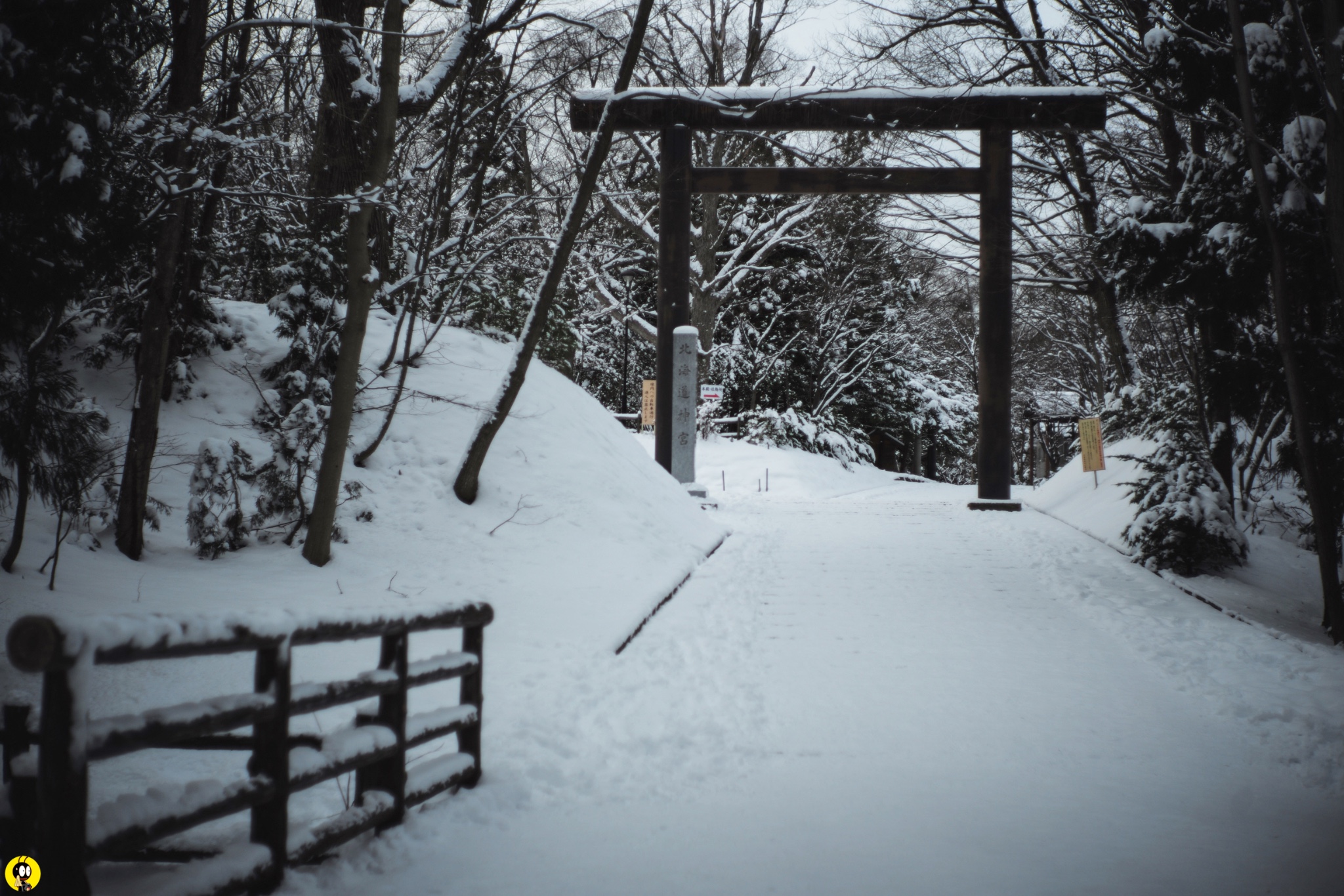 北海道自助遊攻略