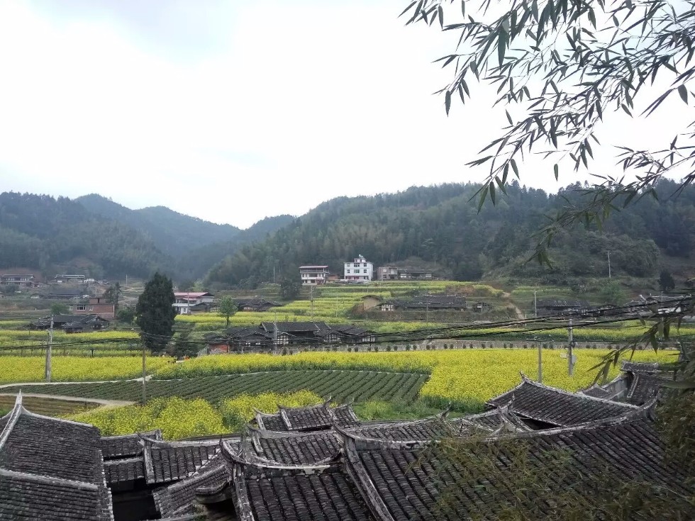 杭州到永安旅遊,杭州到永安自助遊攻略,永安旅遊 - 螞蜂窩旅遊指南