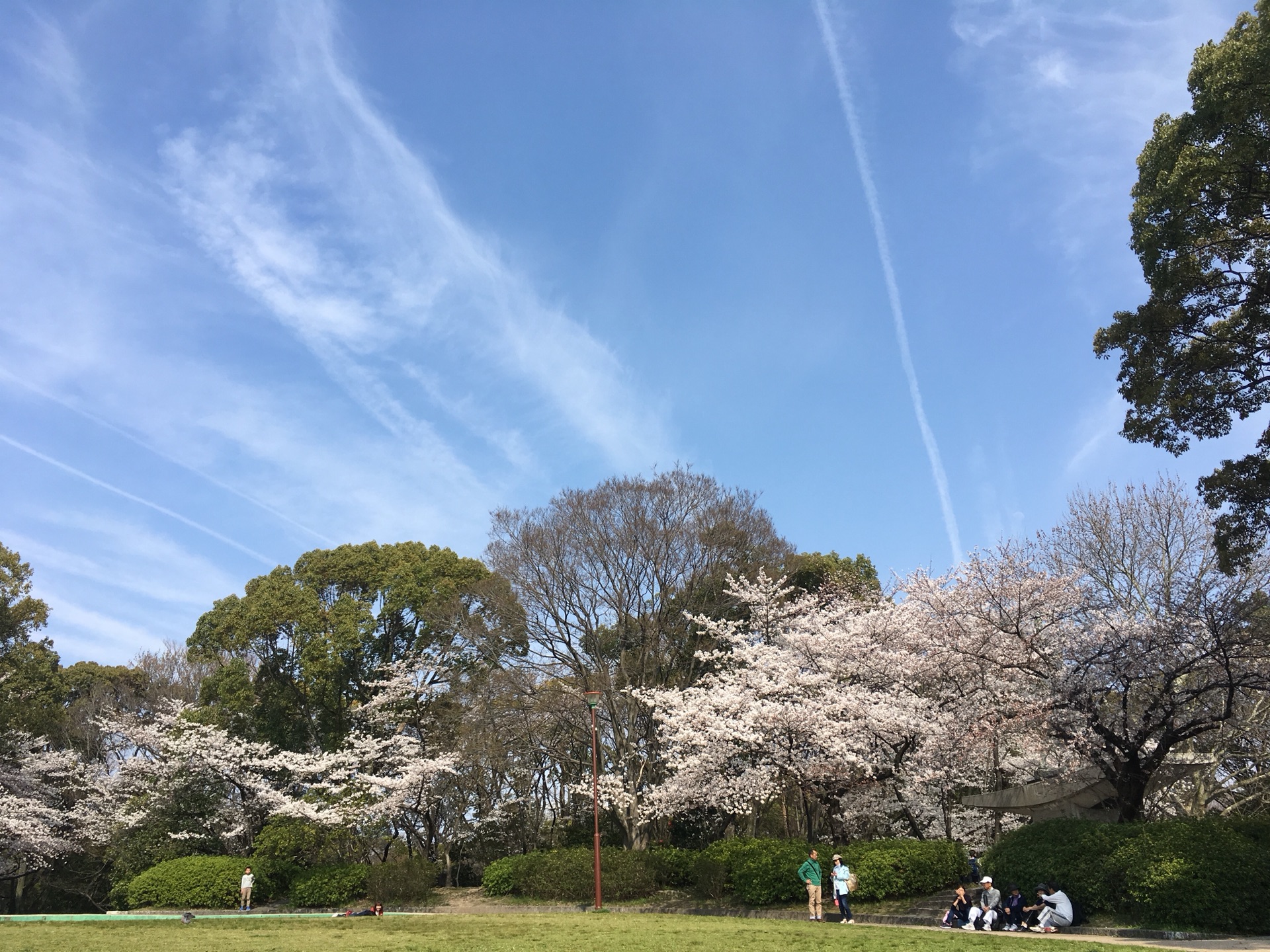 名古屋自助遊攻略