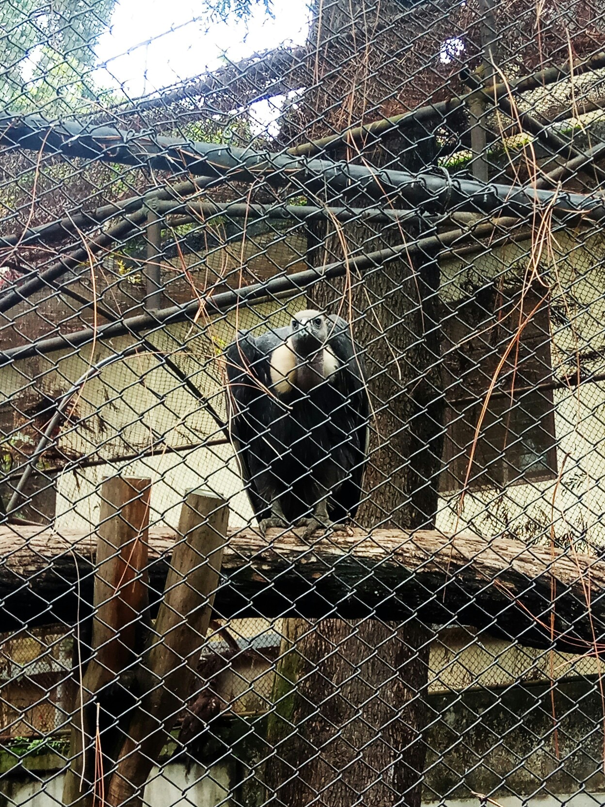 尼泊爾自助遊攻略