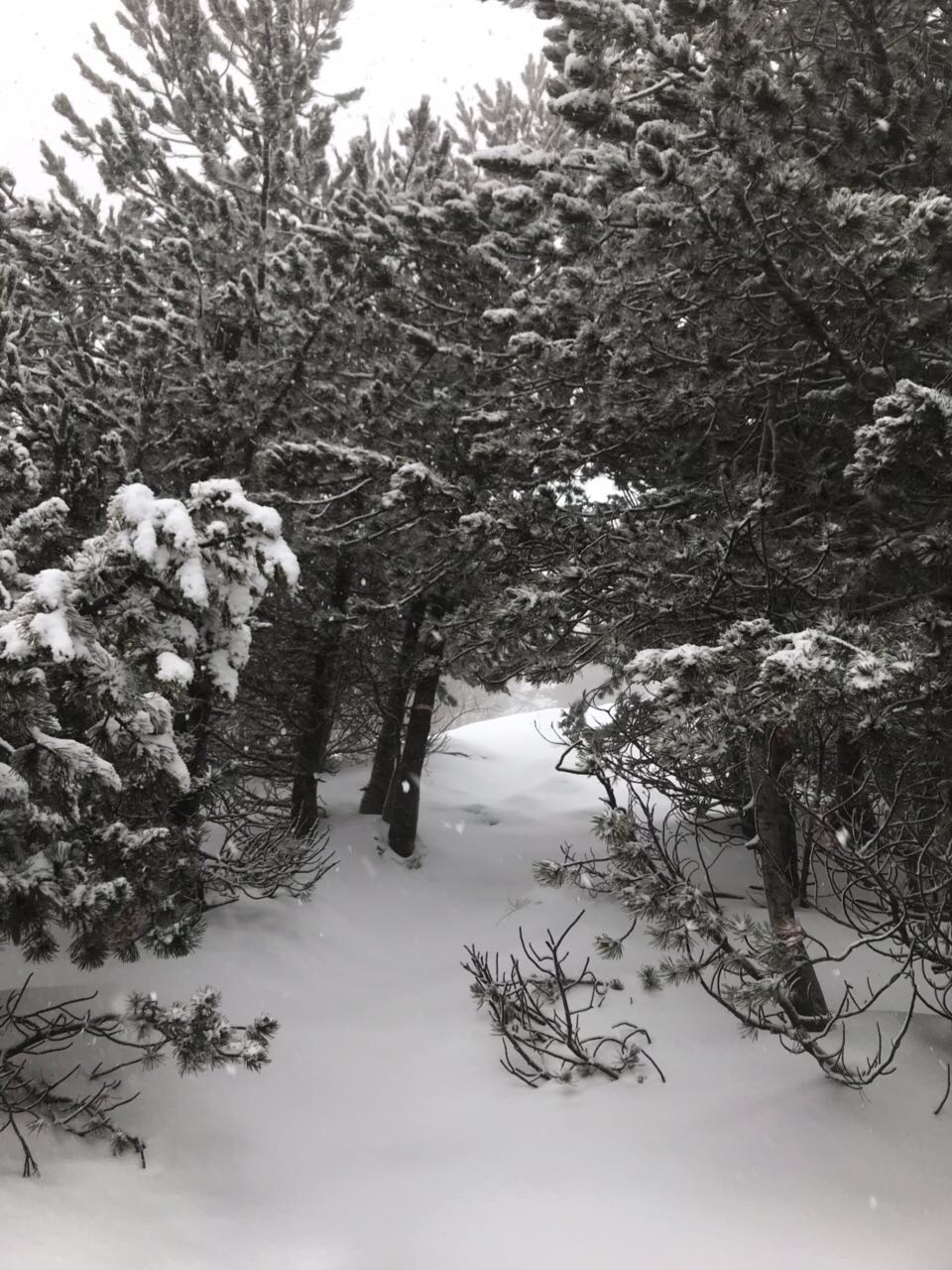 黑山自助遊攻略