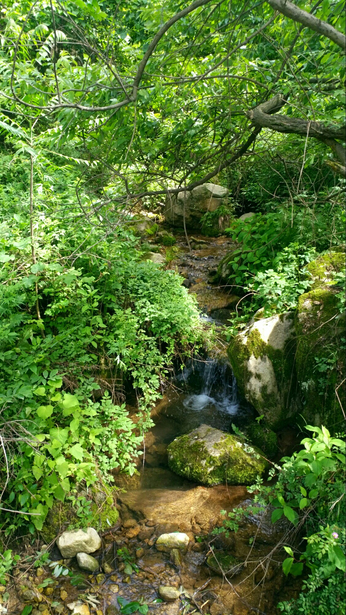 香山万花山图片