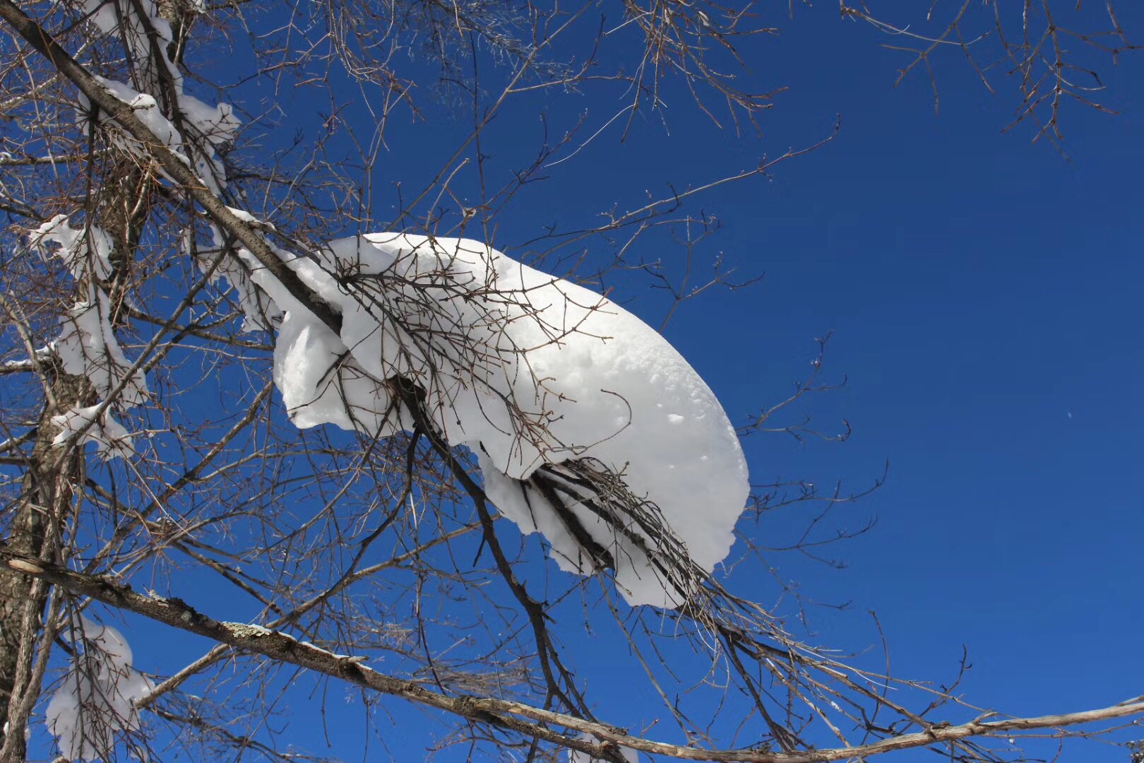 雪鄉自助遊攻略