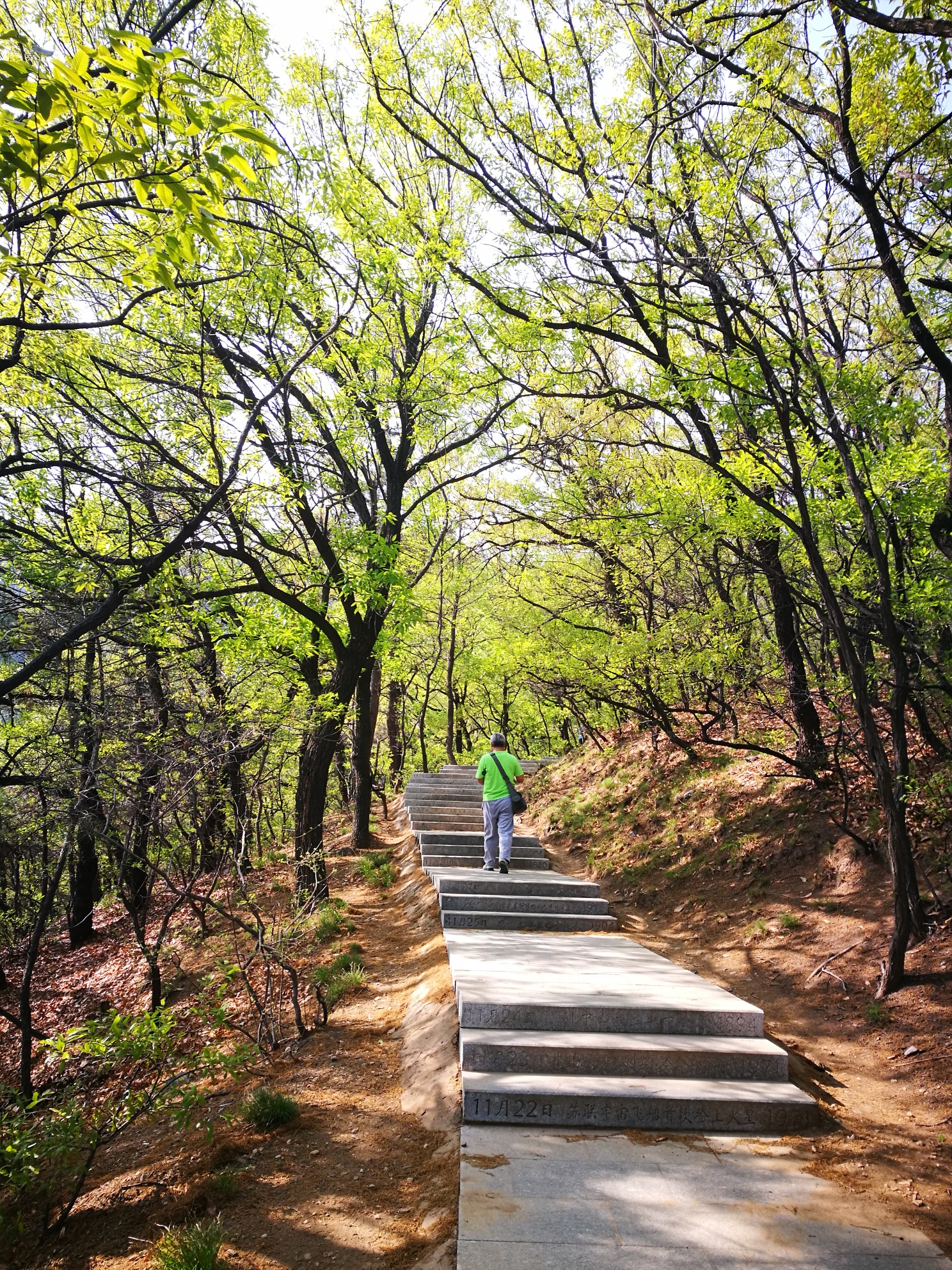 烟台大南山森林公园图片