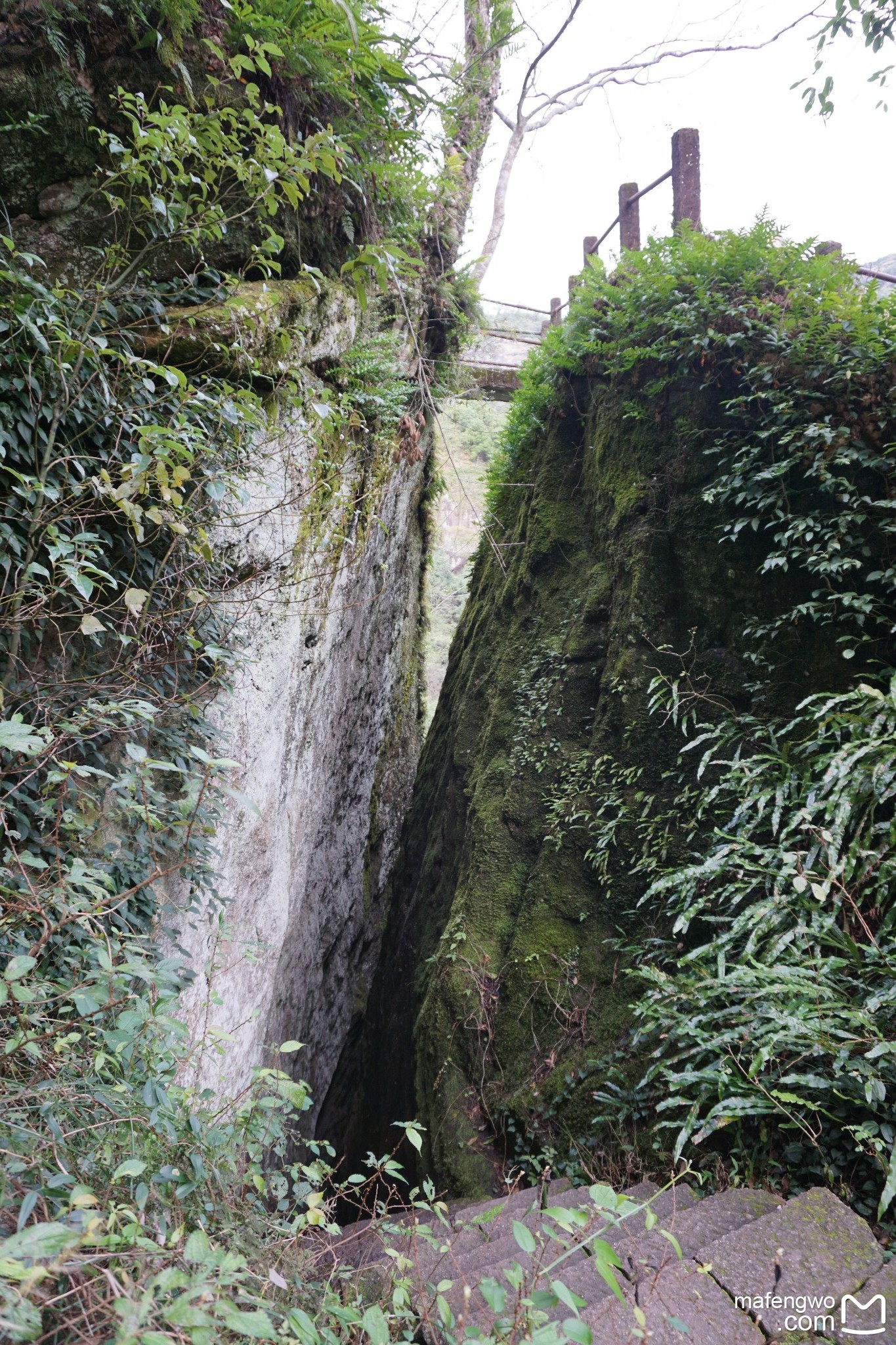 武夷山自助遊攻略