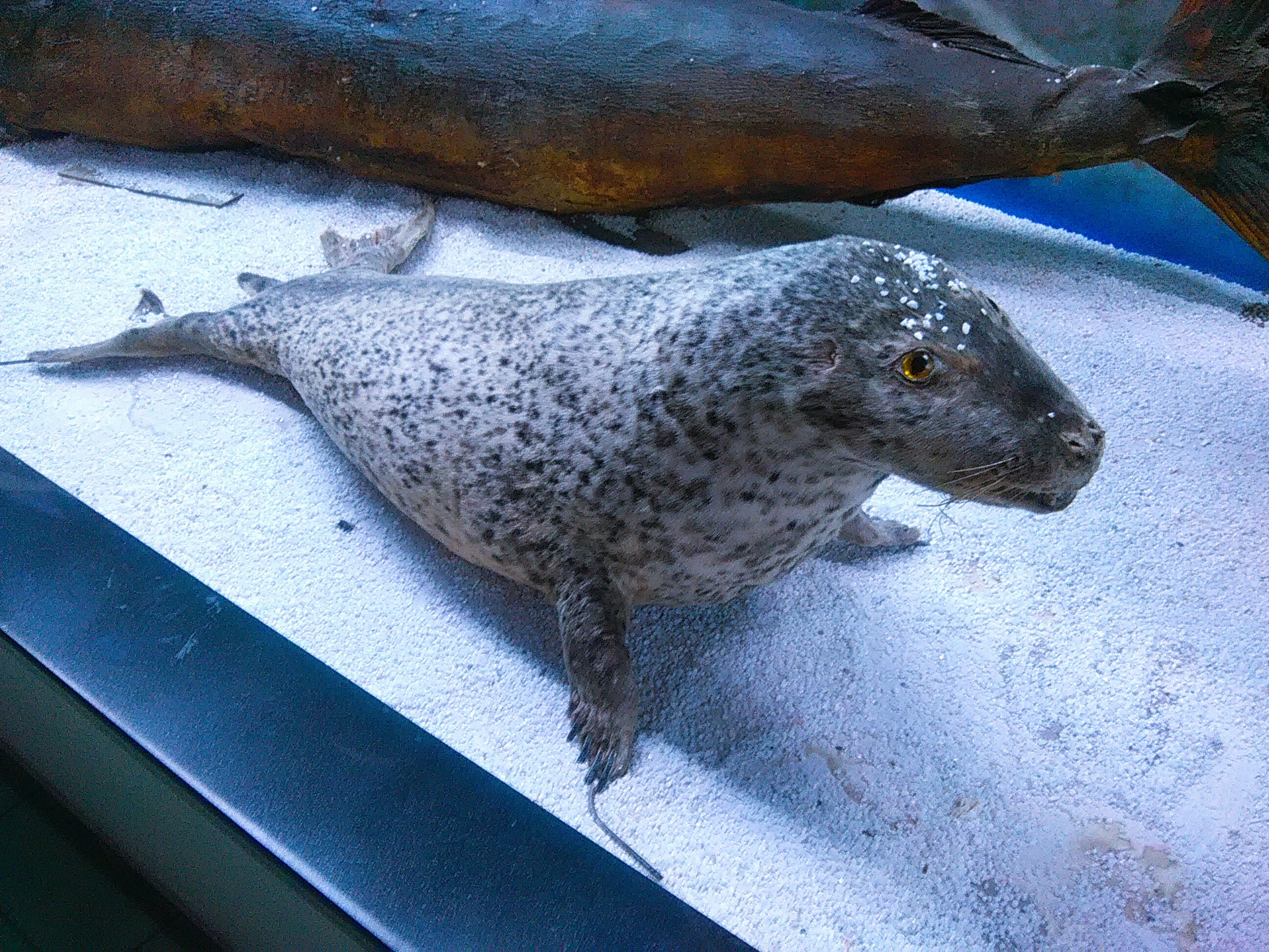 徐州水族展览馆