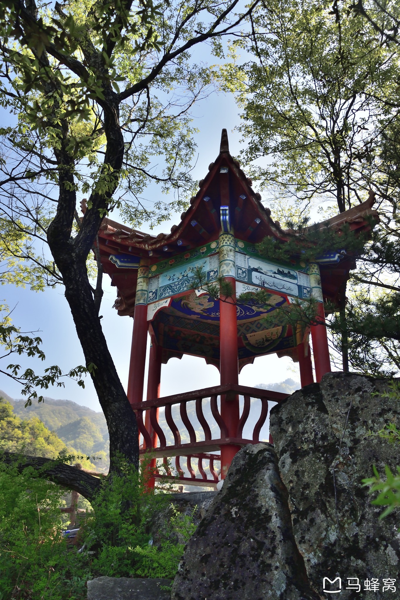西峡银树沟一日游【杜鹃啼血染青山,百态千姿留此间】