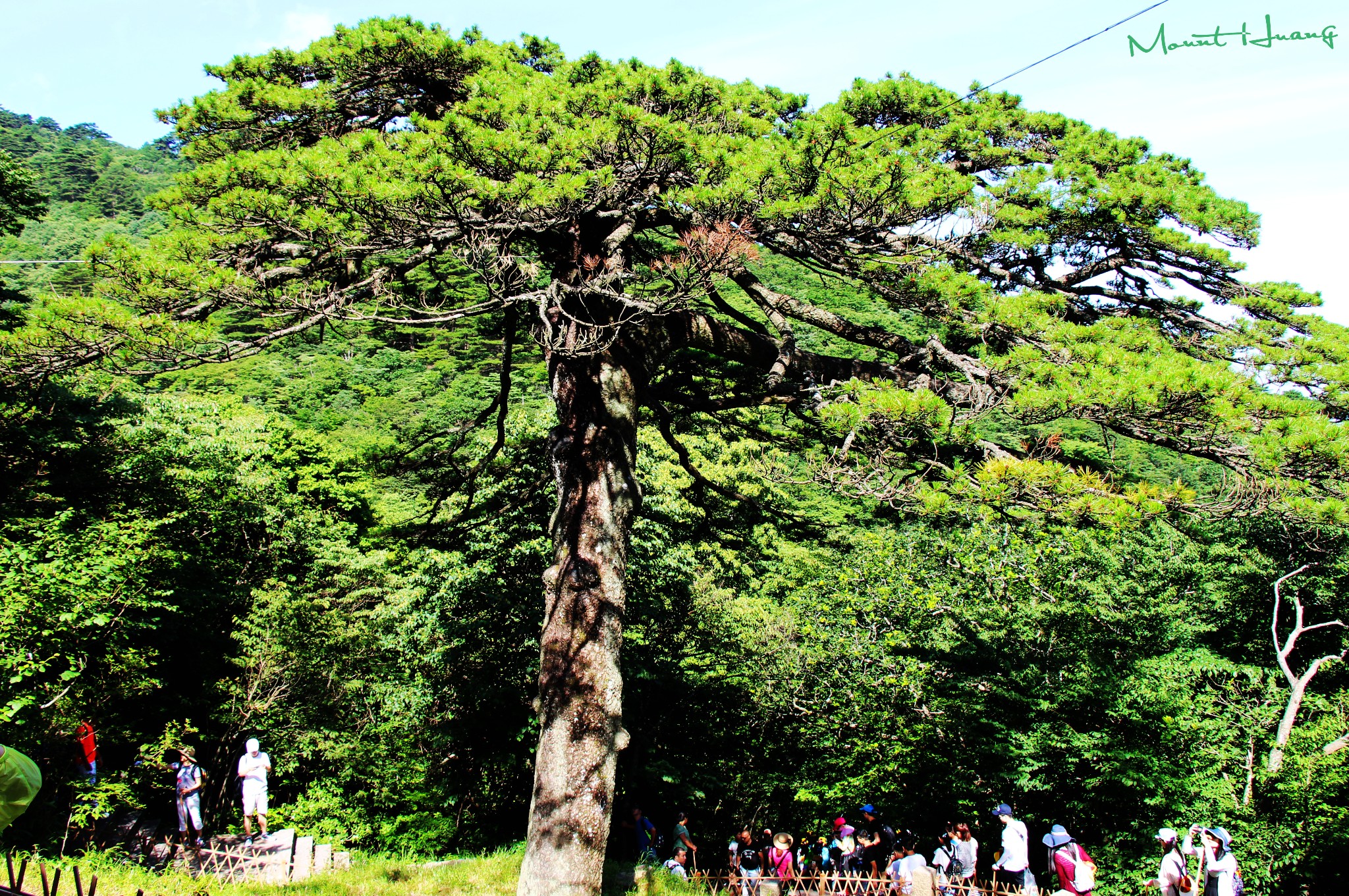 黃山自助遊攻略