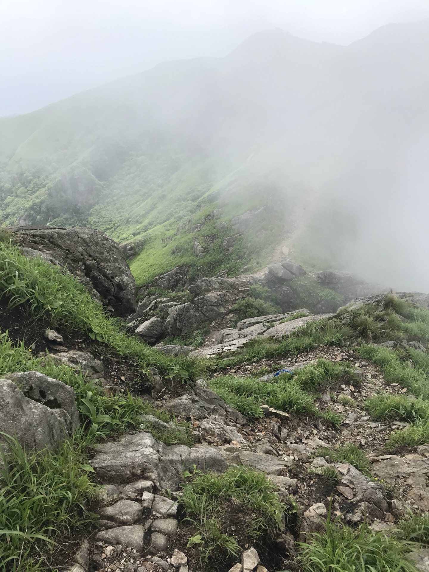 龙山有多少人口_古越龙山黄酒多少度