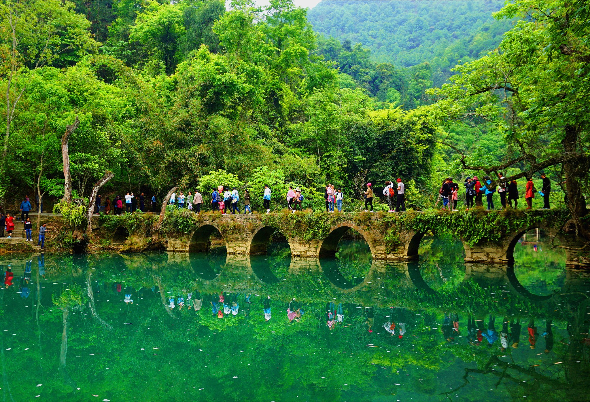 貴州環線遊——梵淨山,黃果樹瀑布,荔波小七孔,西江千戶苗寨,鎮遠古鎮