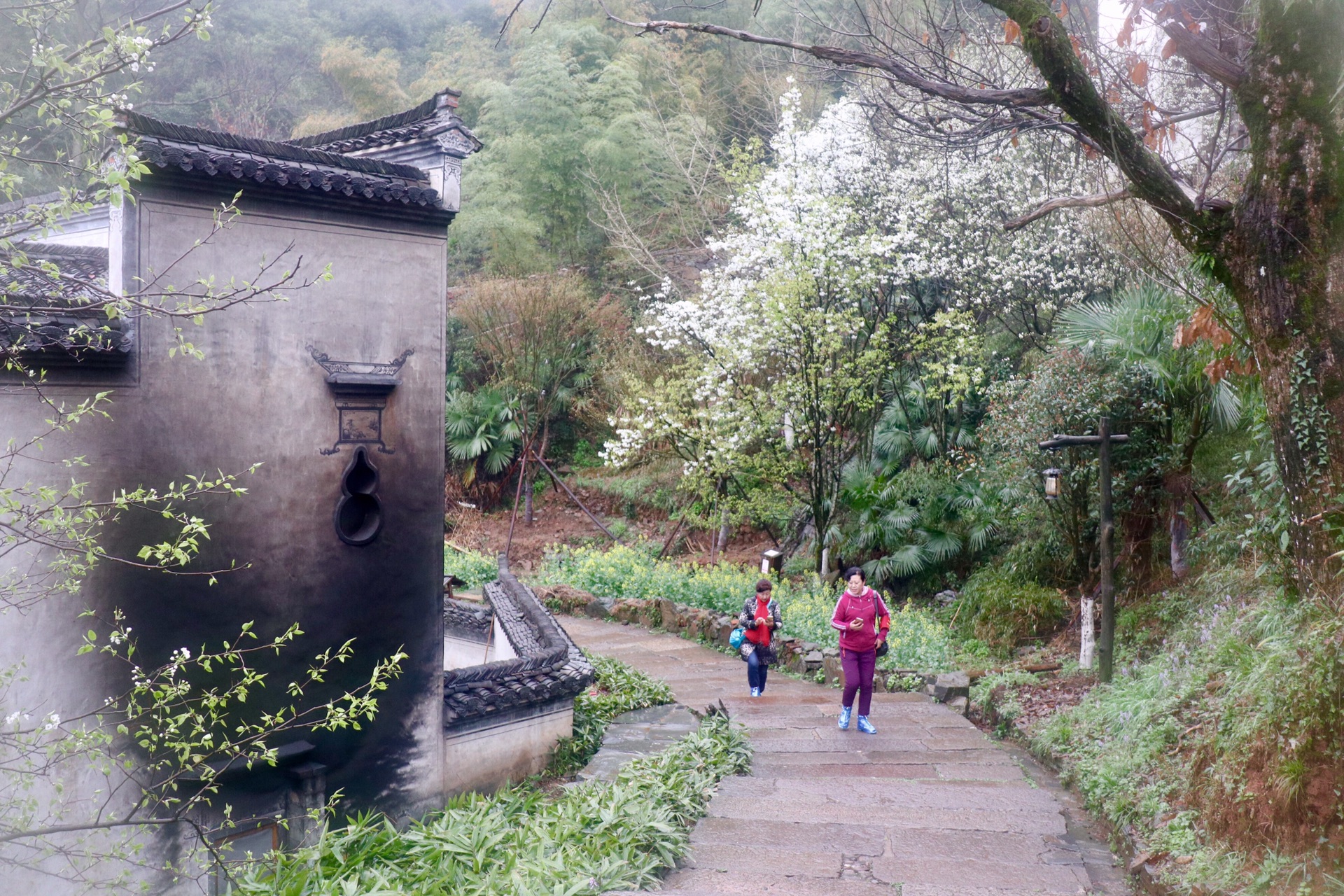 婺源自助遊攻略