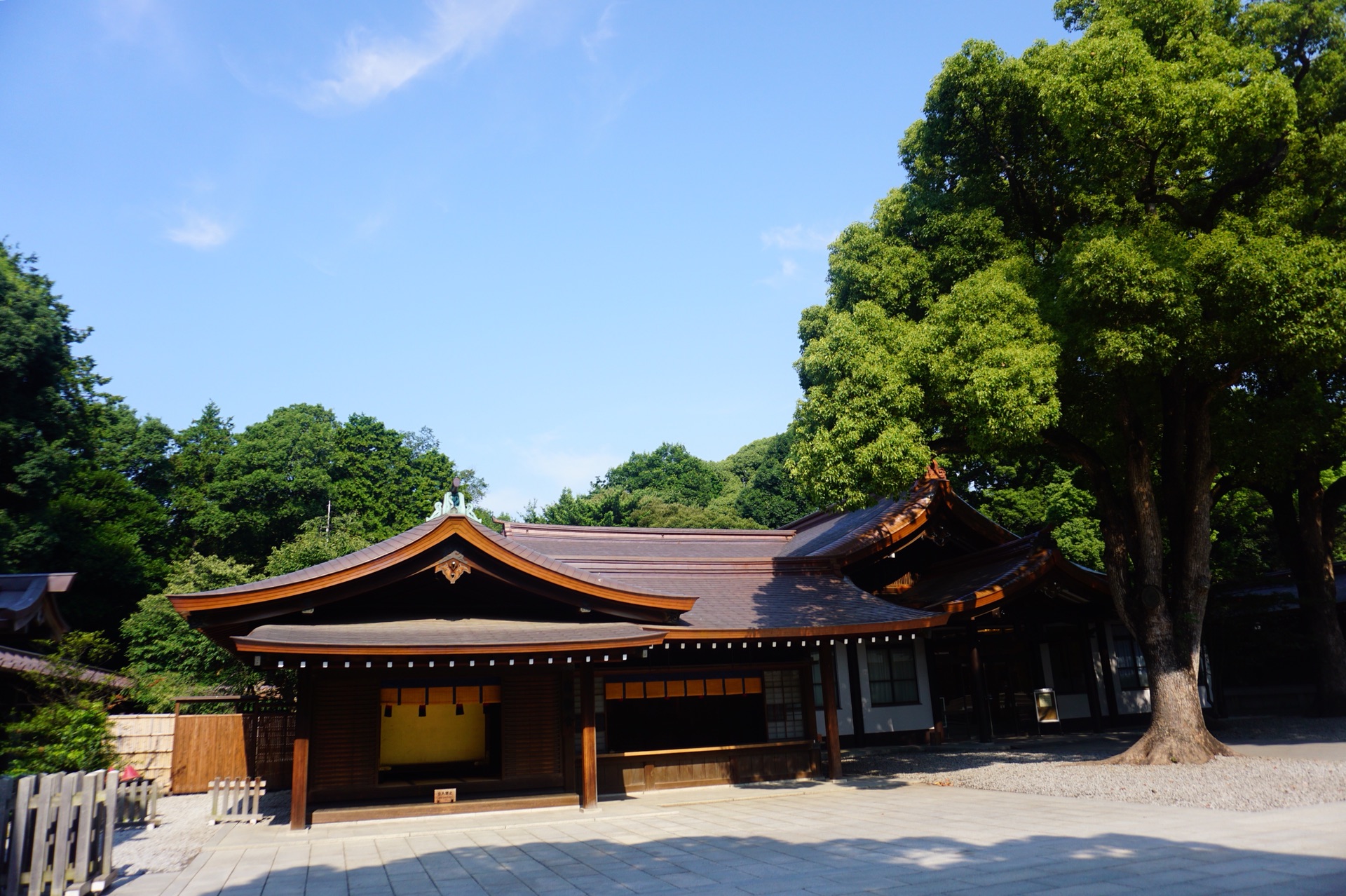 東京自助遊攻略