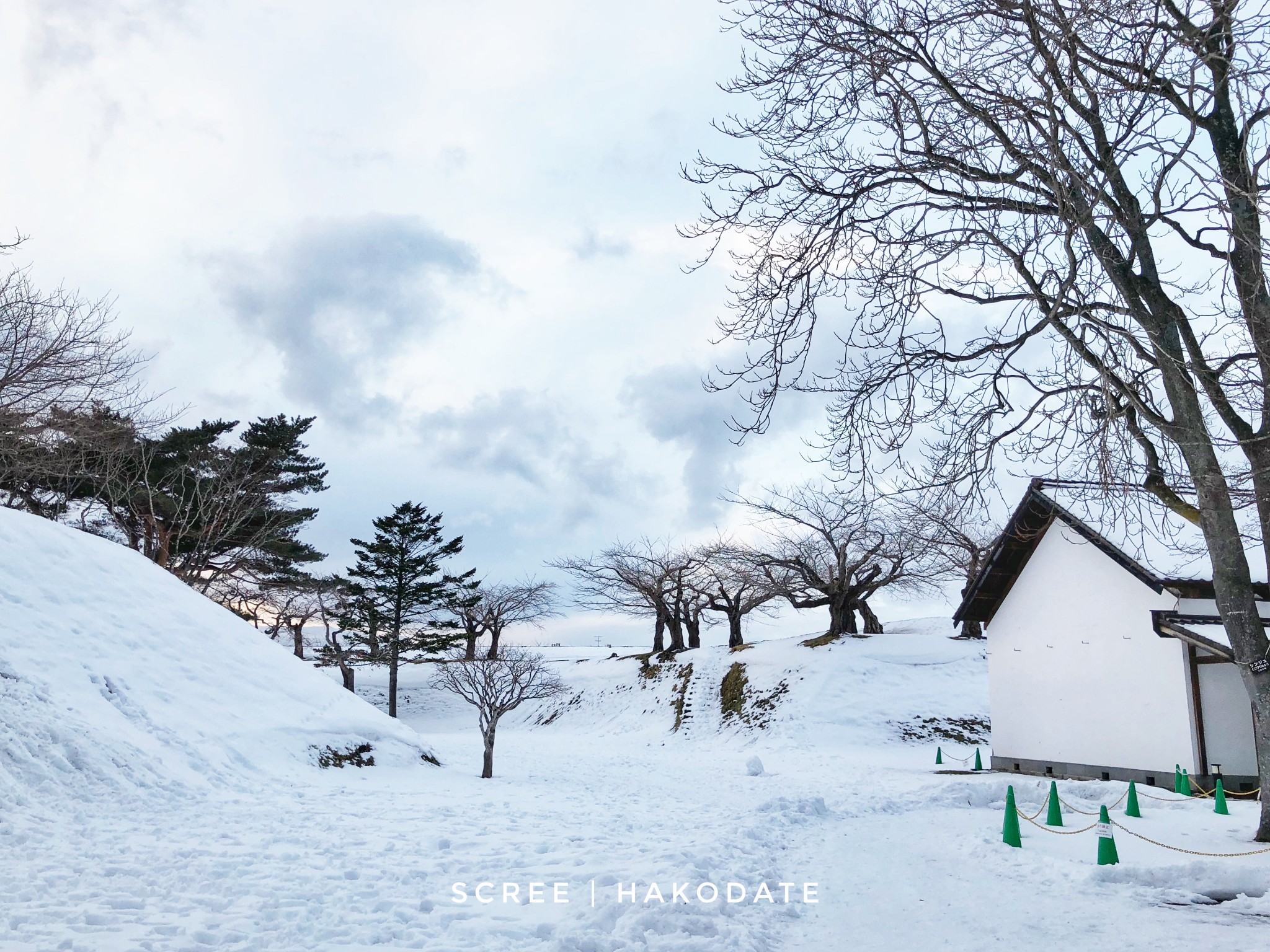 北海道自助遊攻略