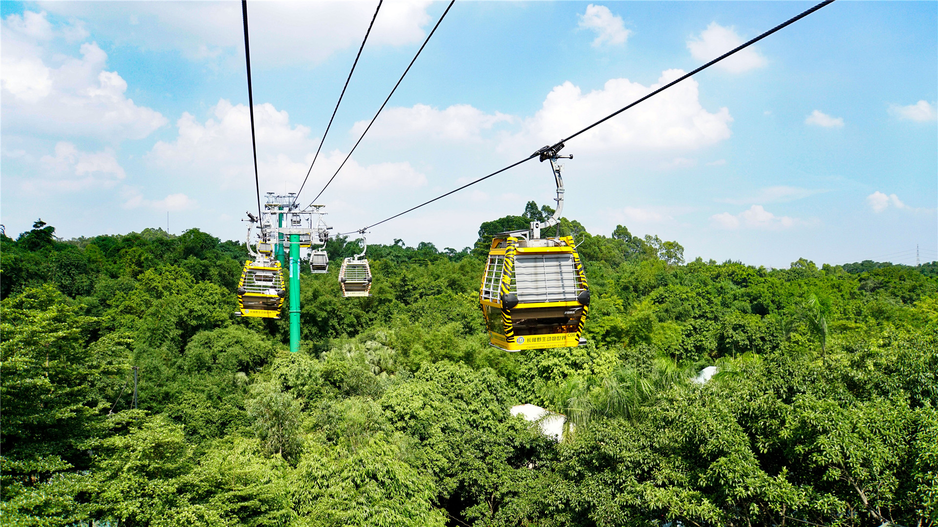 广州长隆旅游度假区游记图片