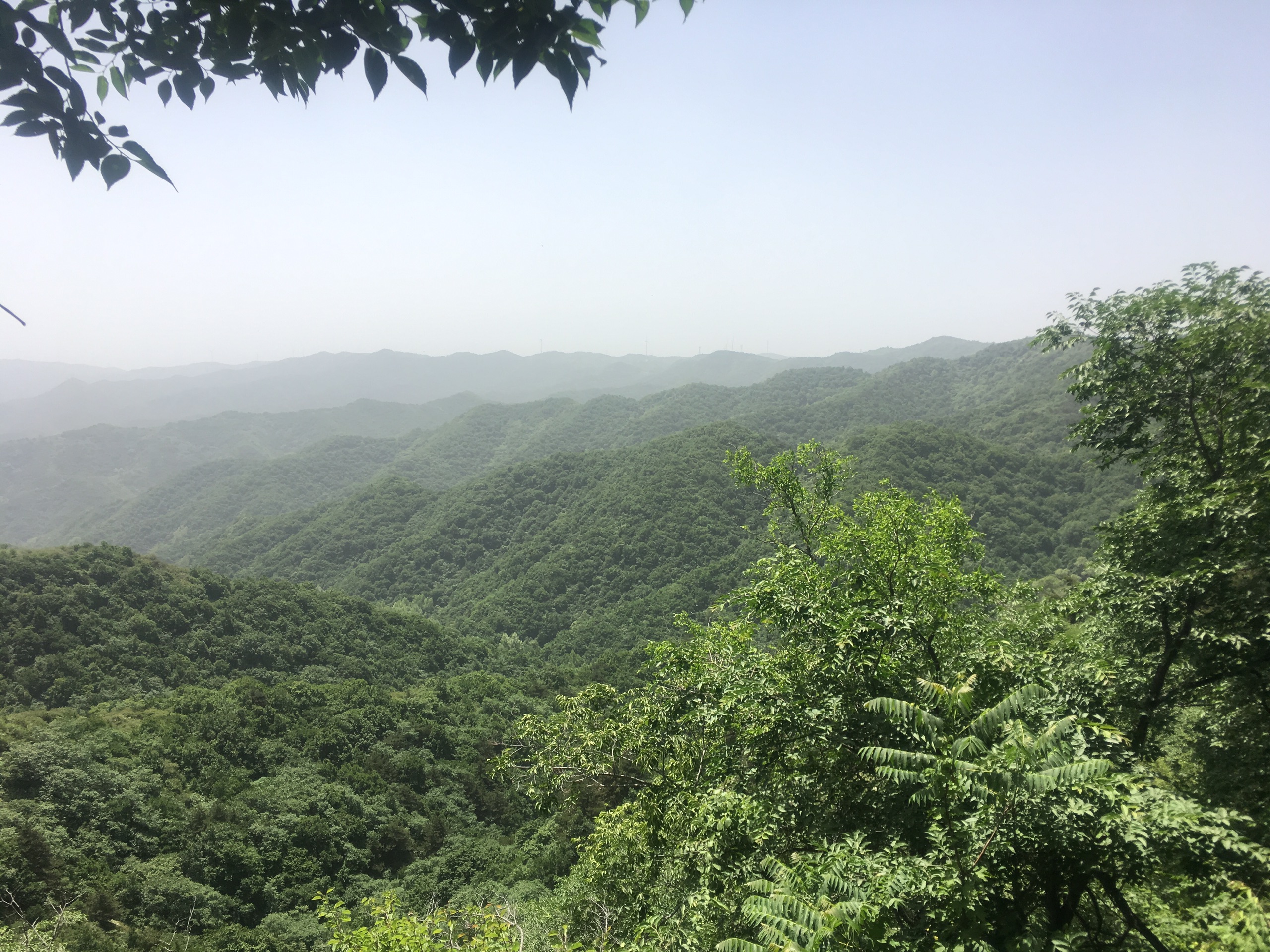 【阳泉景点图片】翠枫山自然风景区