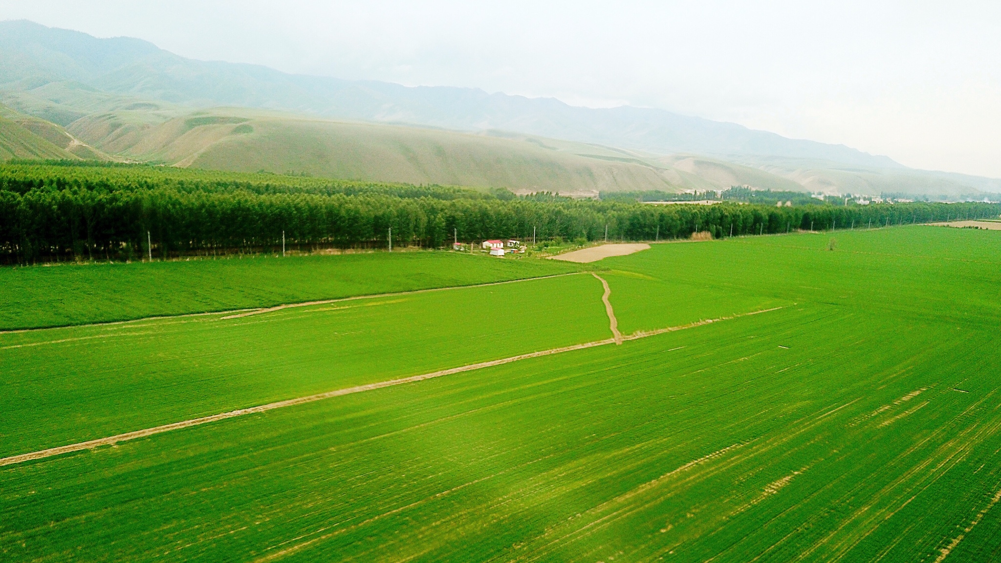 新疆飞驰在广袤大地与苍穹天际