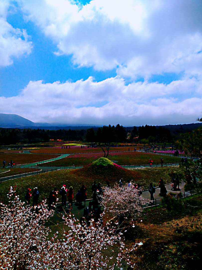 富士山自助遊攻略