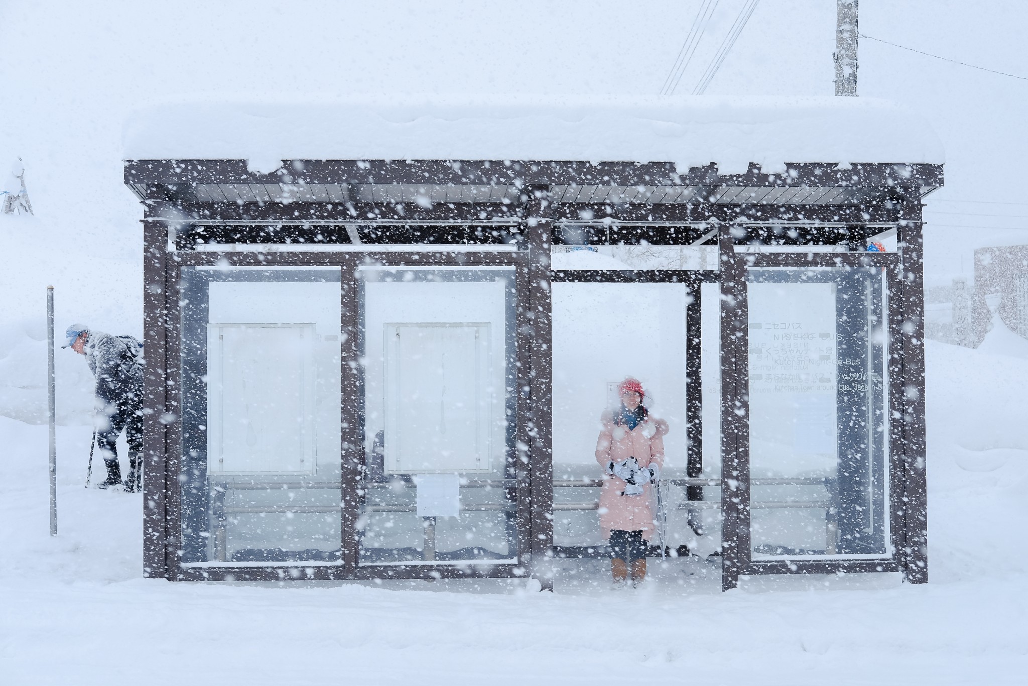 北海道自助遊攻略