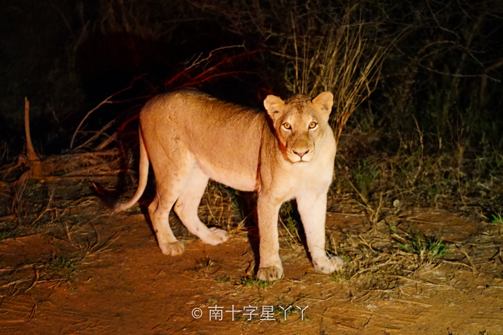 南非自助遊攻略