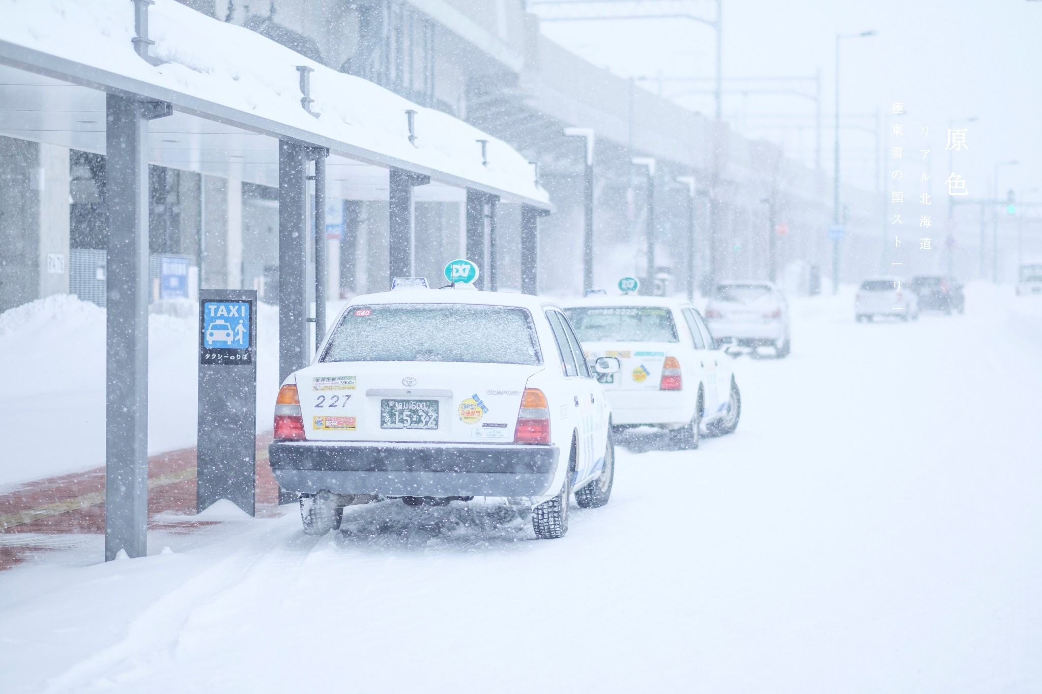 北海道自助遊攻略