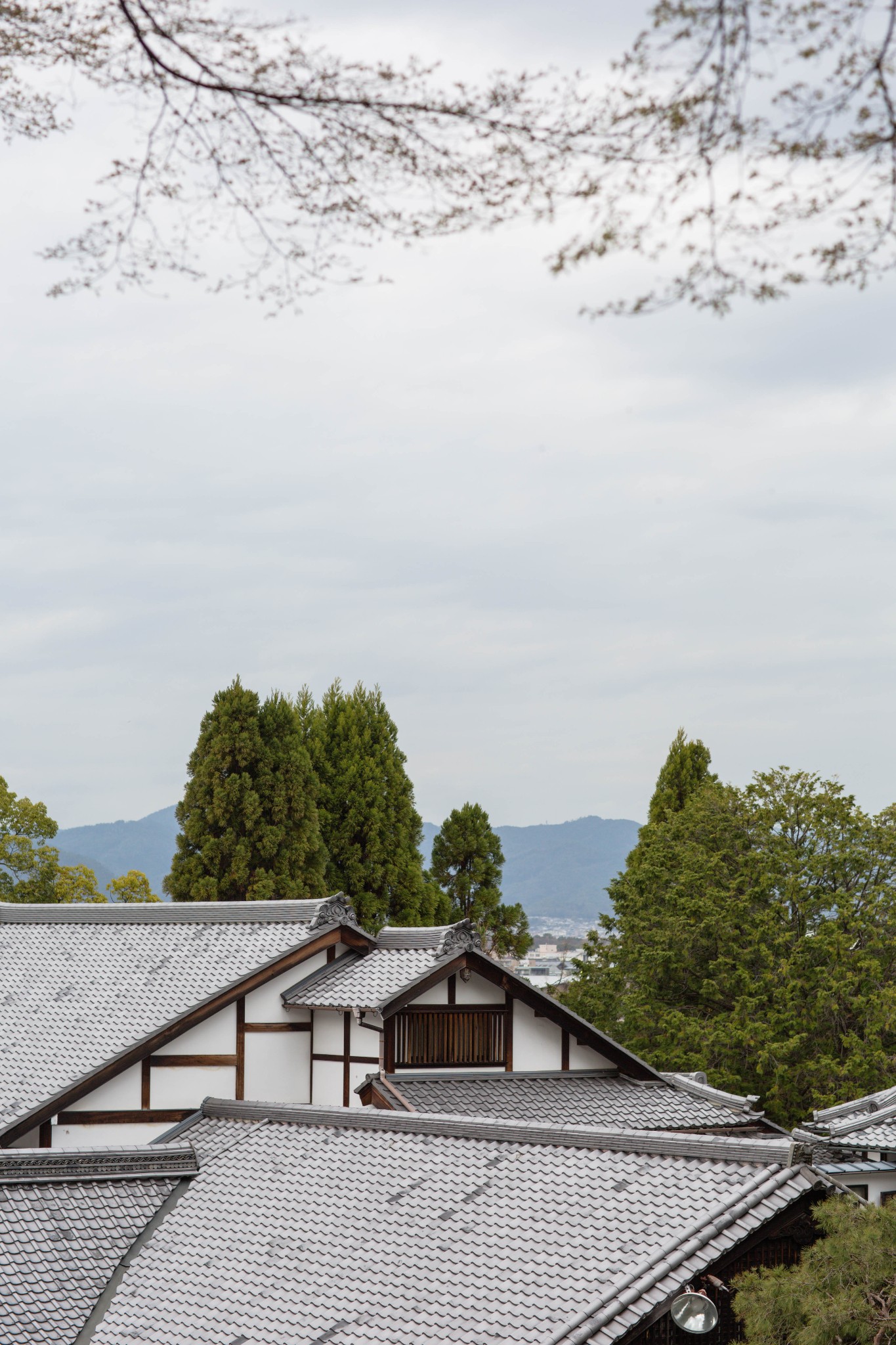 京都自助遊攻略