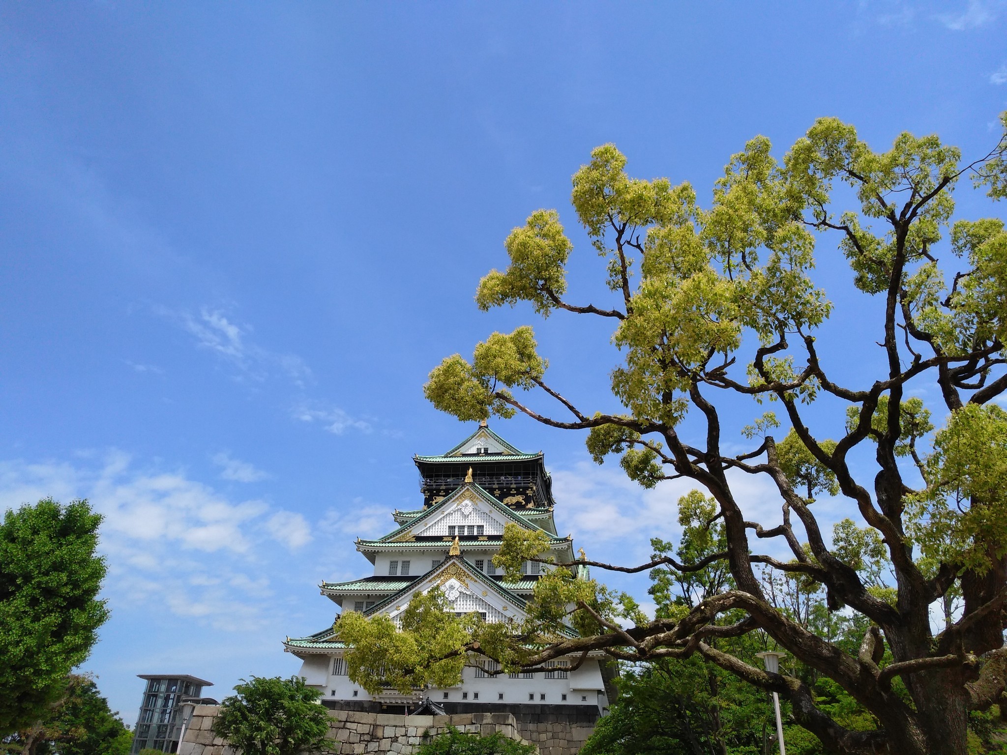 京都自助遊攻略