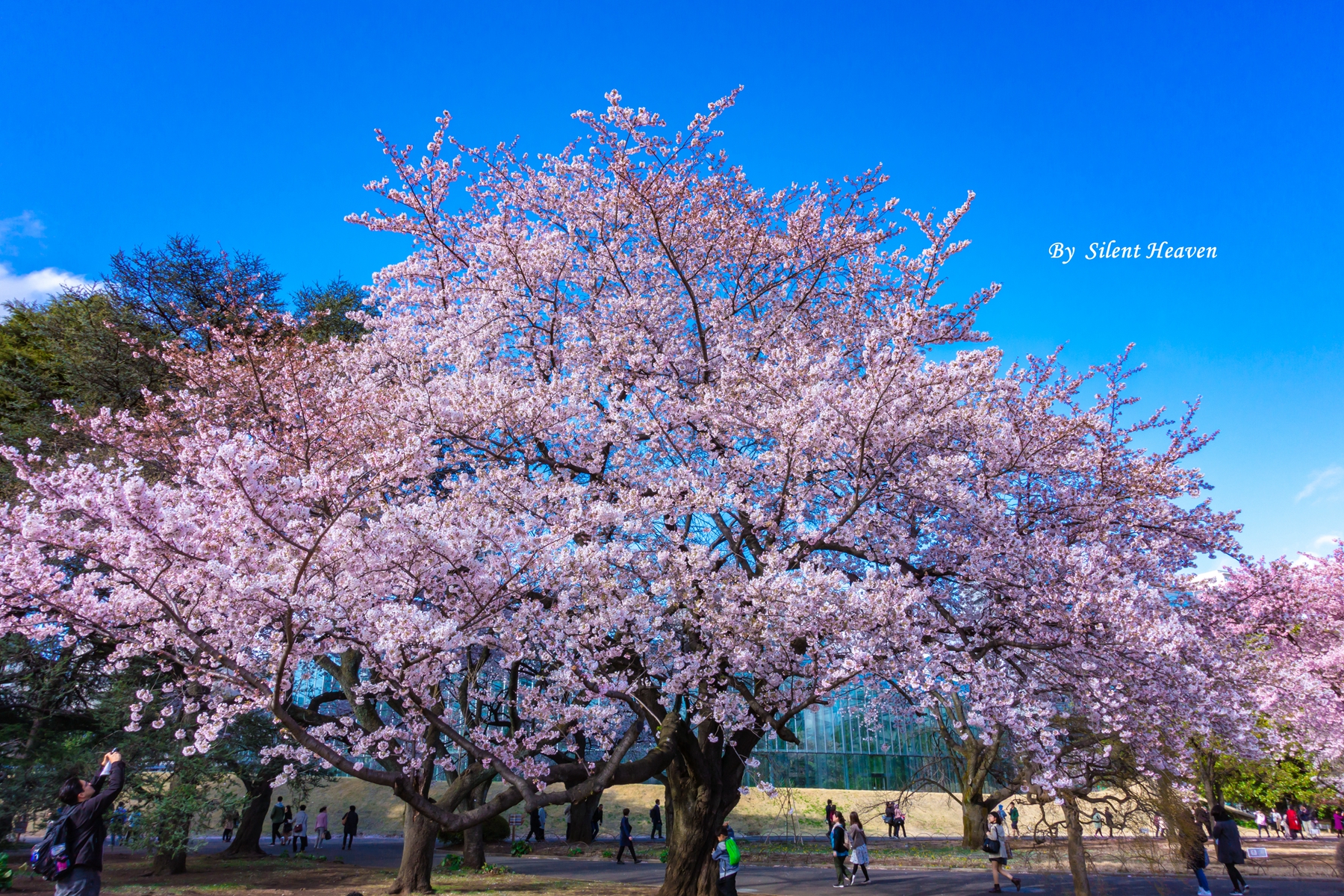 wKgBEFq3KLqAJfehACT1FCbah8s14.jpeg?imageView2%2F2%2Fw%2F680%2Fq%2F90%7CimageMogr2%2Fstrip%2Fquality%2F90