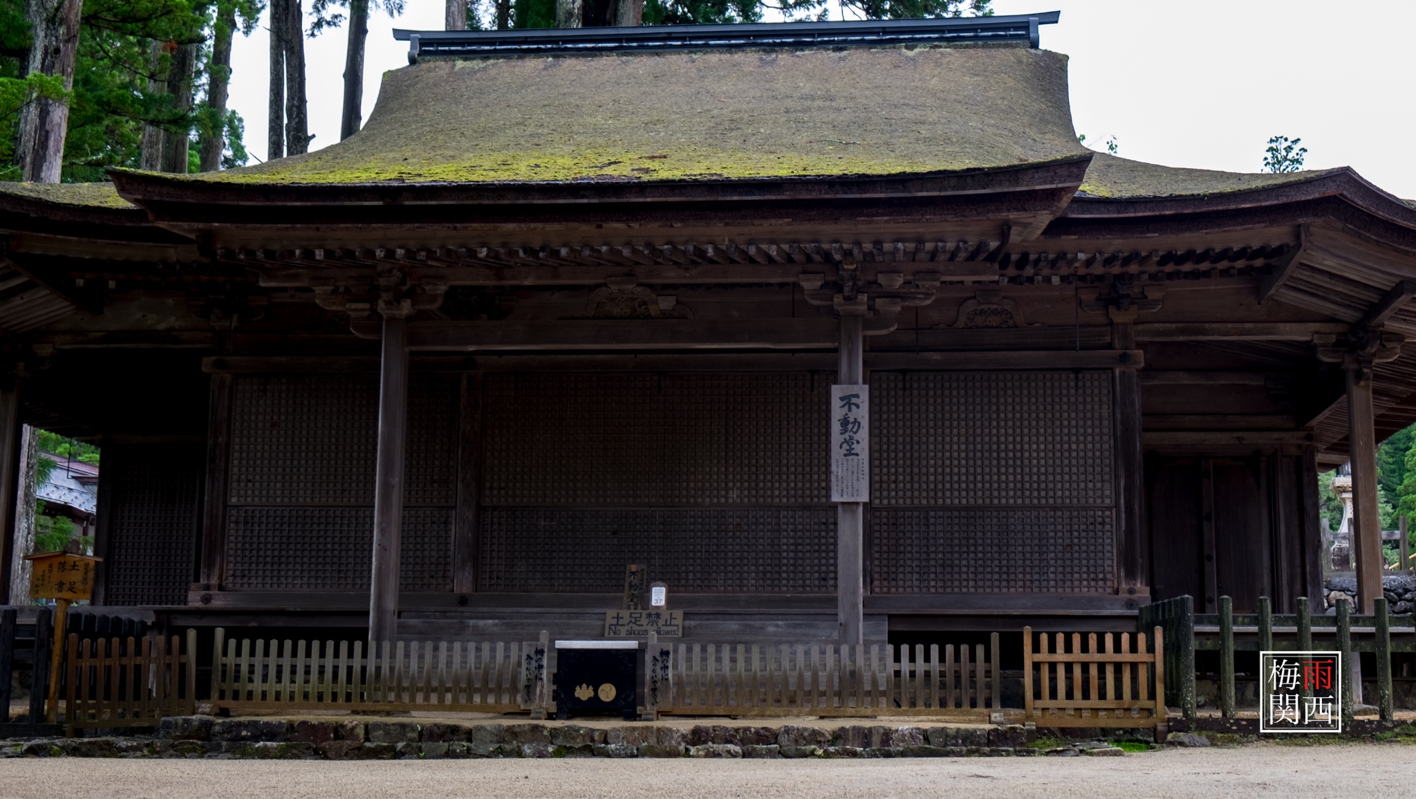 京都自助遊攻略