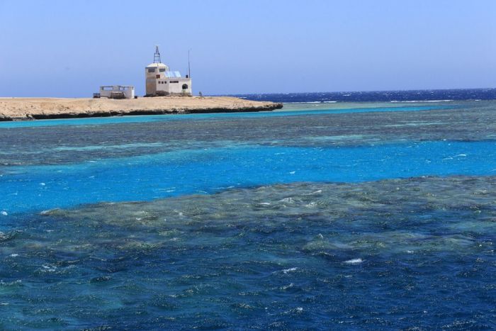 埃及红海游玩全攻略:200美金考潜水证,100元睡希尔顿