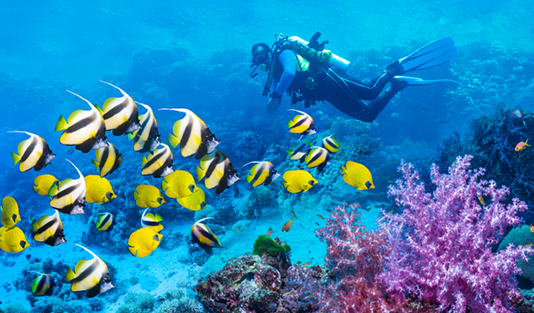 巴厘岛 图兰奔深潜一日游 2次深潜(二战沉船潜点 中英文教练 专业设备