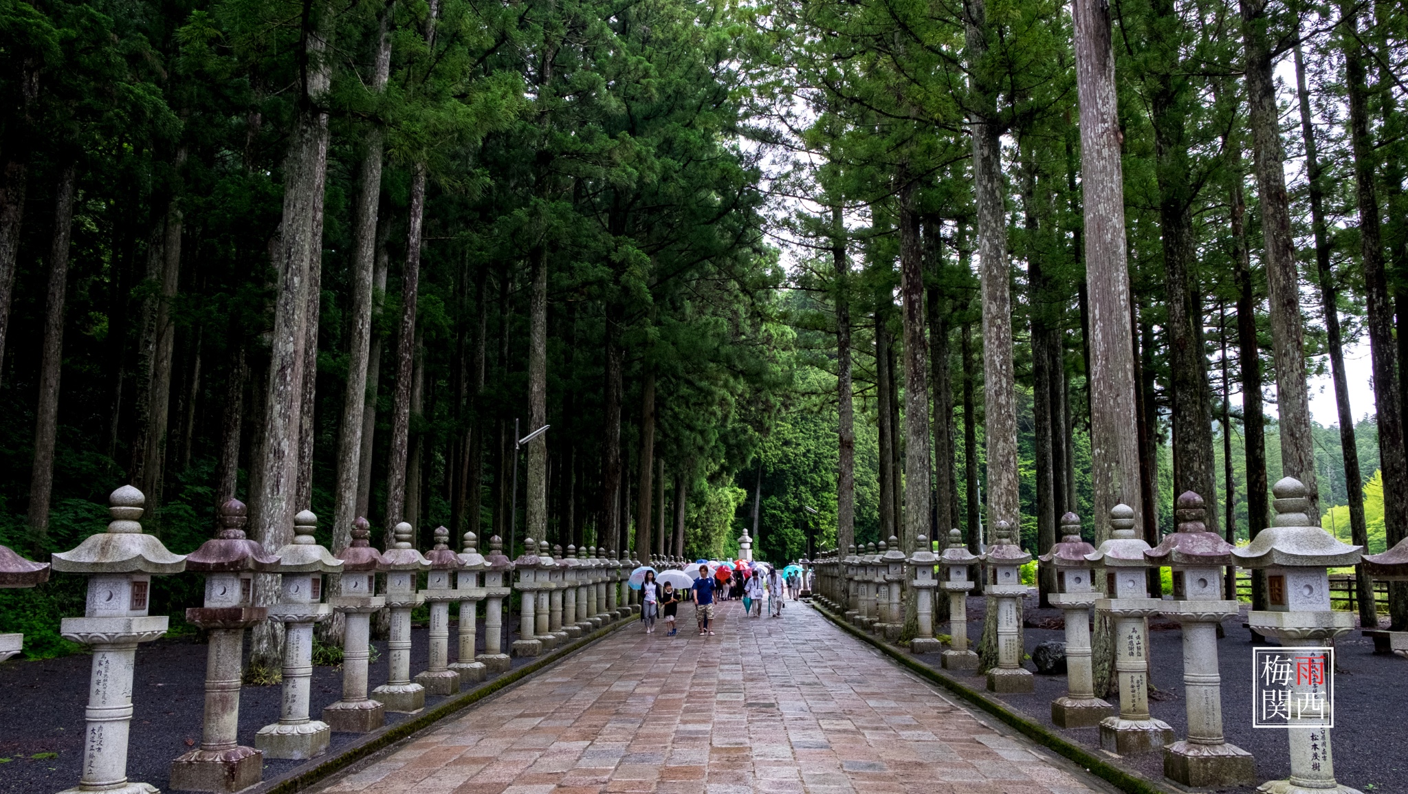 京都自助遊攻略