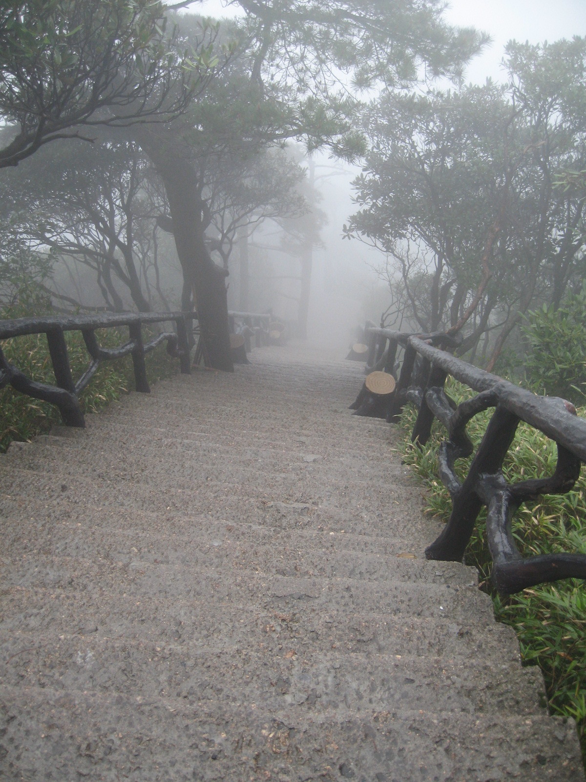 三清山自助遊攻略