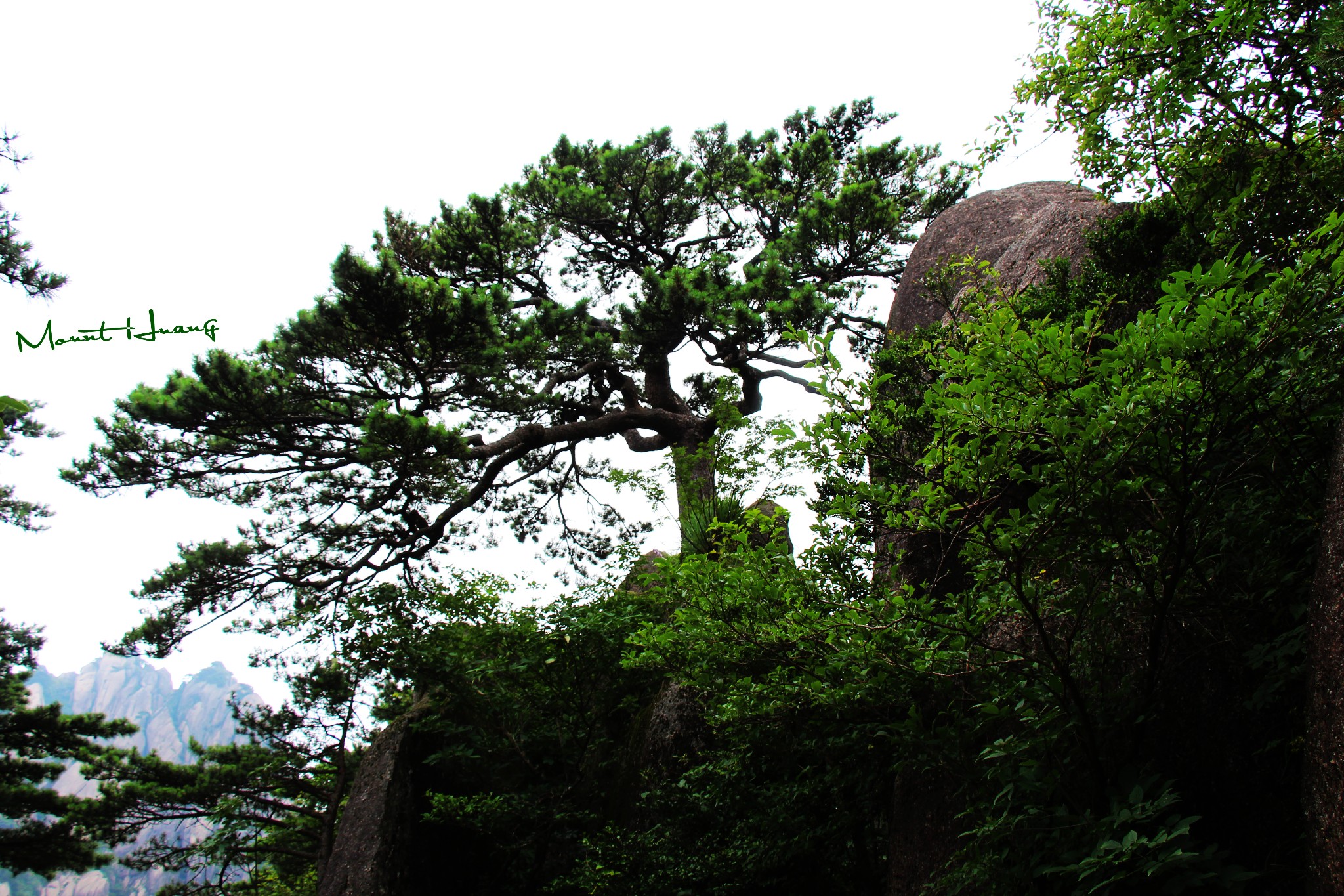 黃山自助遊攻略