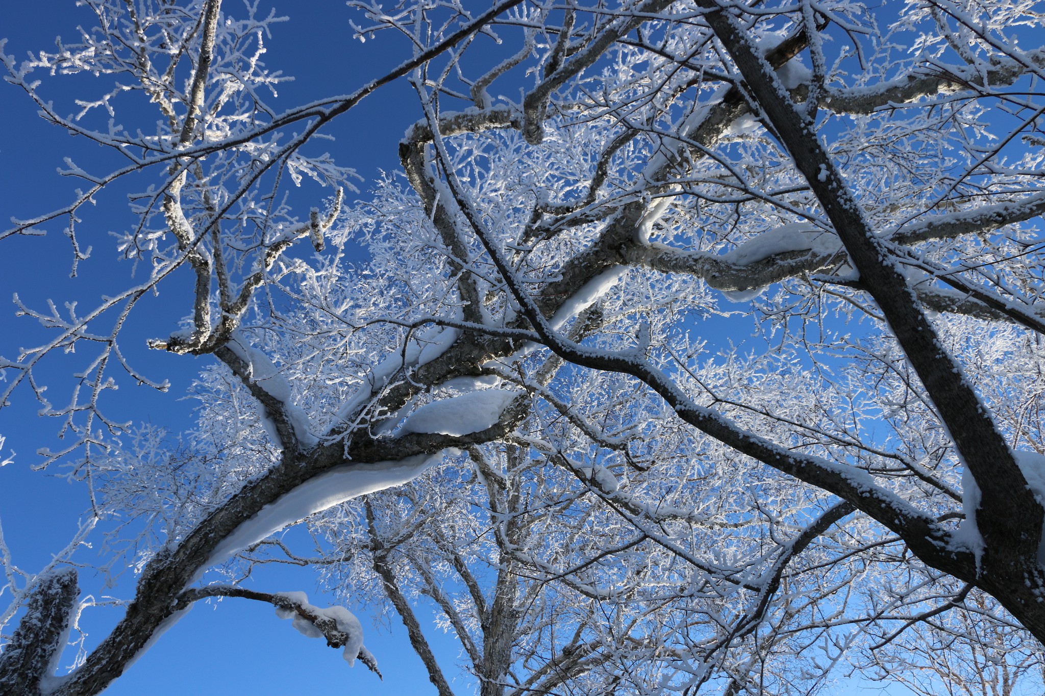 雪鄉自助遊攻略