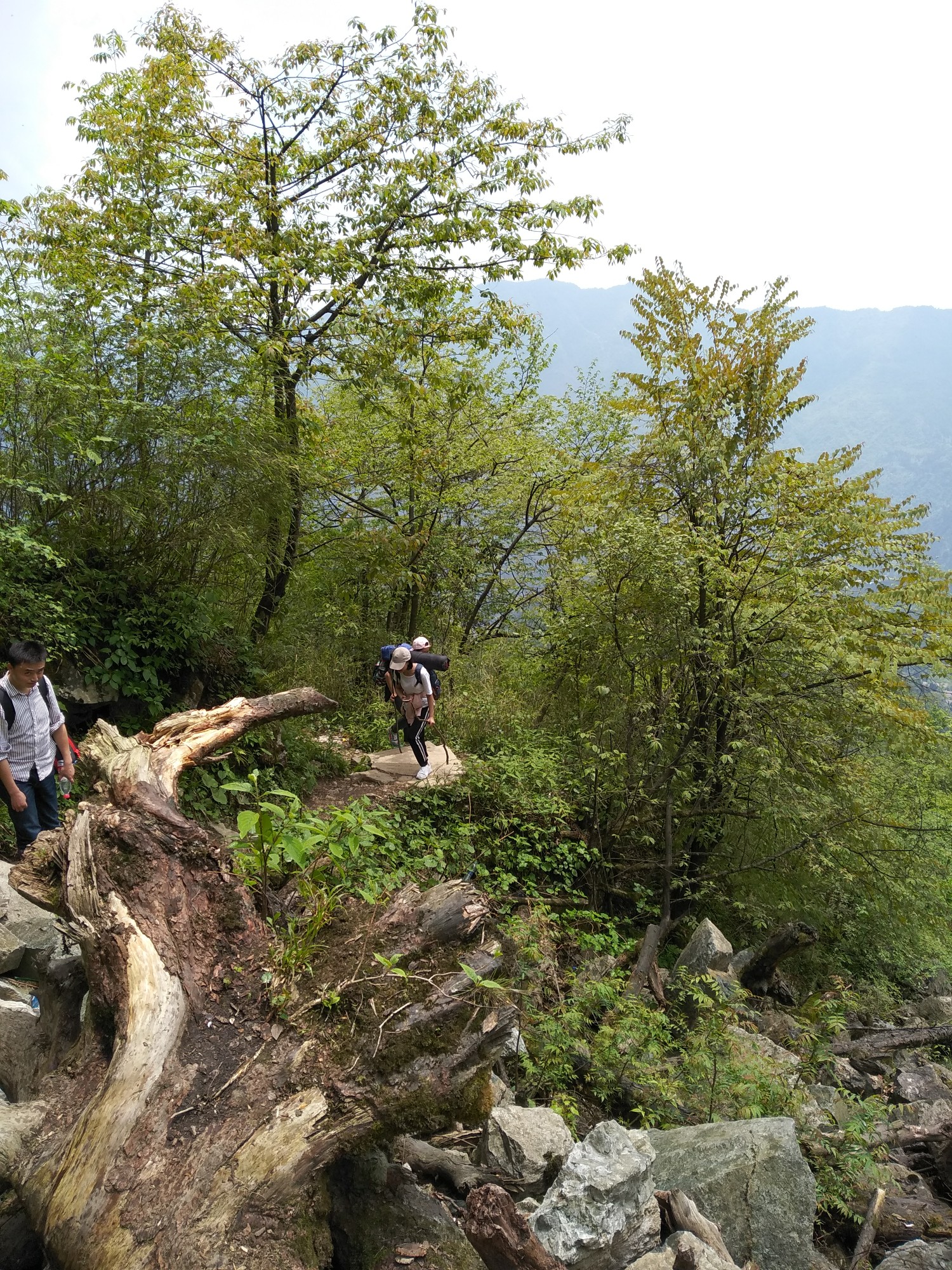 又见山里红 彭州九峰山徒步记,彭州自助游攻略 马蜂窝