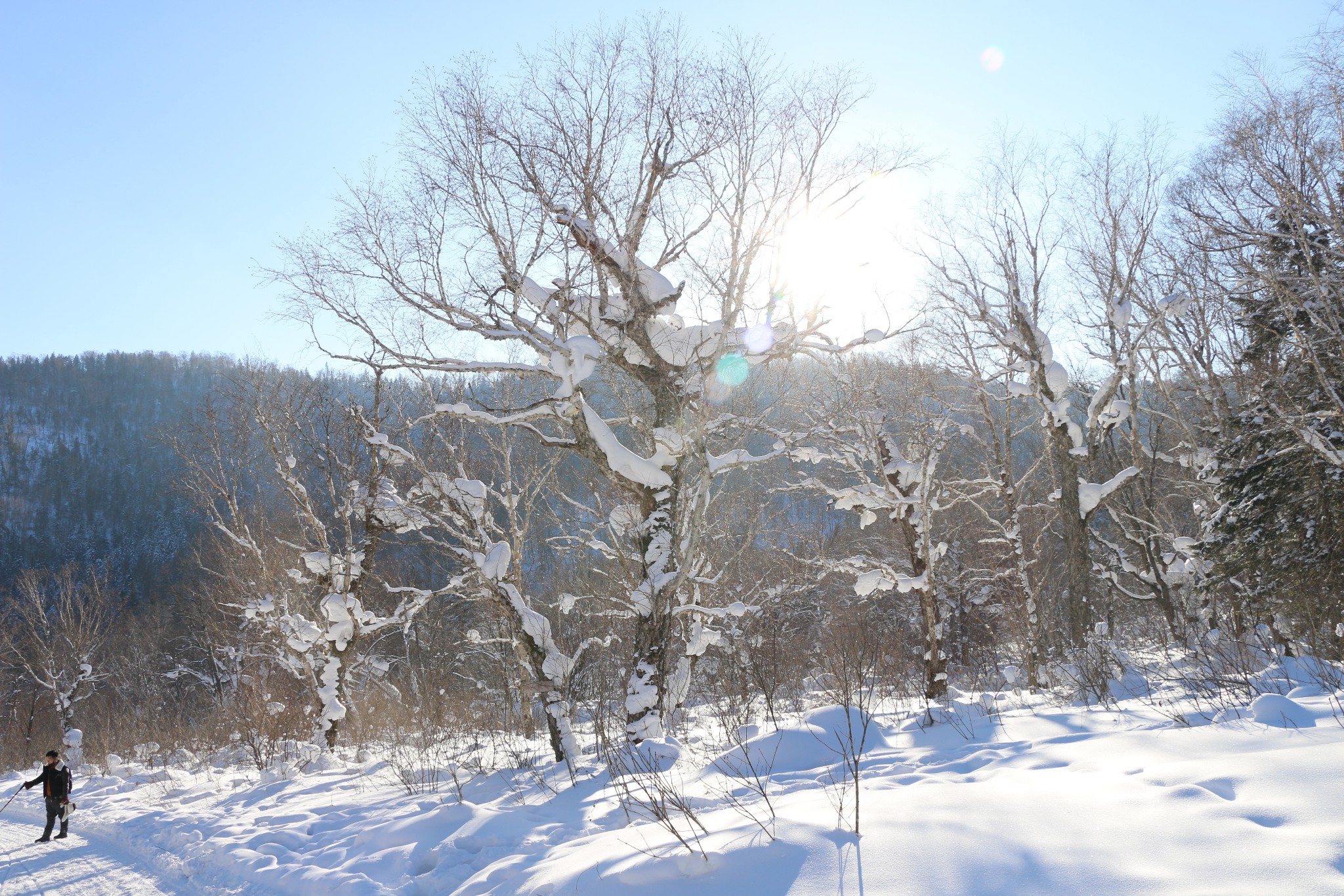 雪鄉自助遊攻略