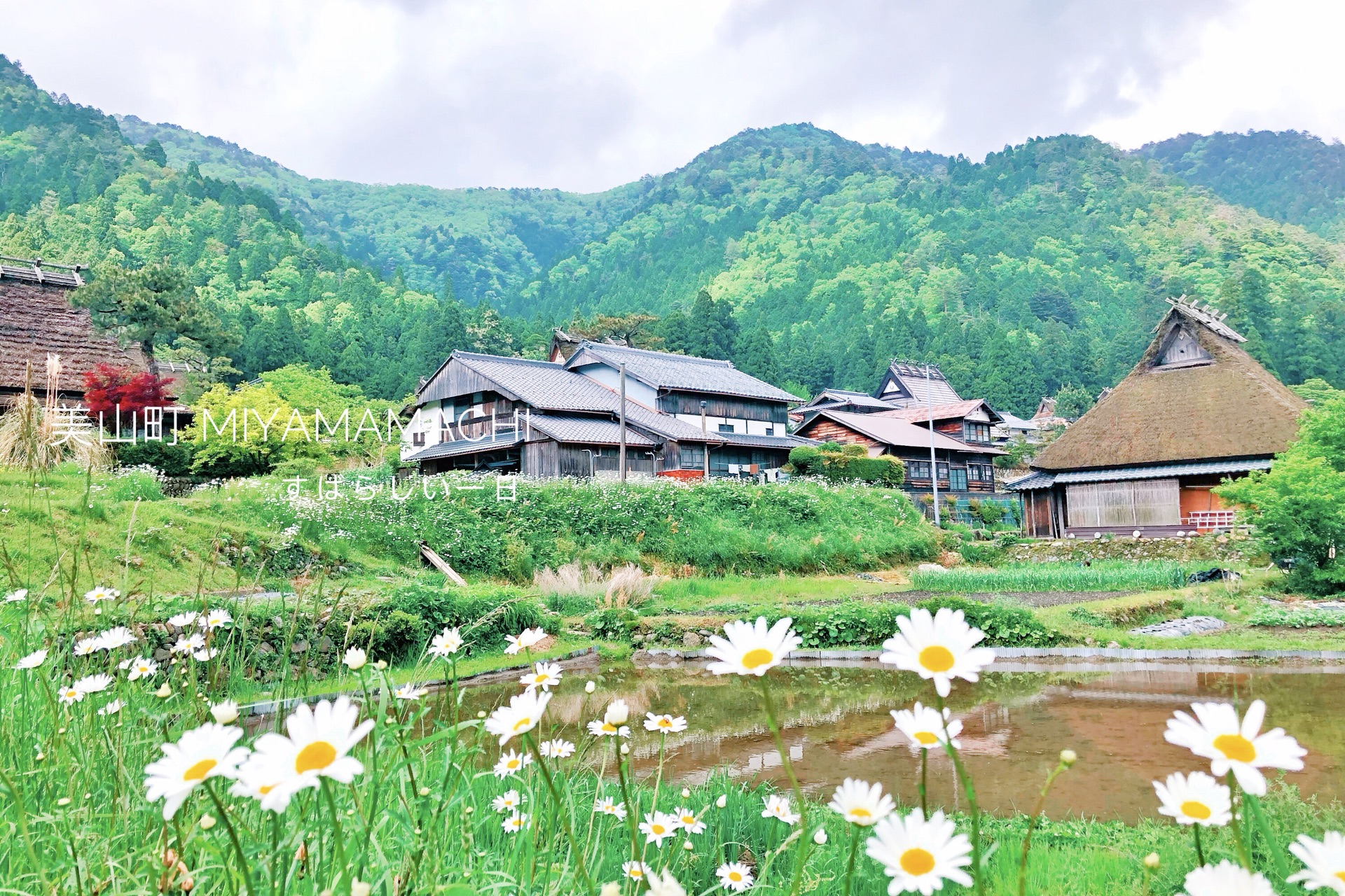 京都自助遊攻略