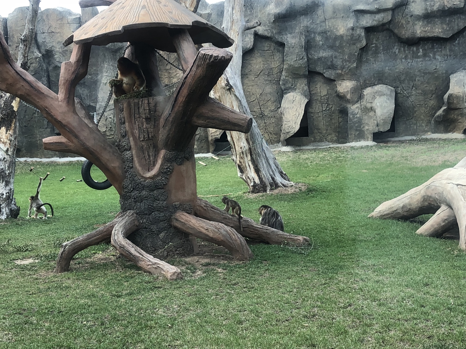 龍沙動植物公園,齊齊哈爾旅遊攻略 - 馬蜂窩