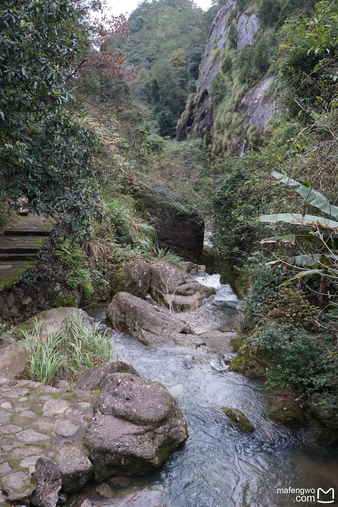 武夷山自助遊攻略