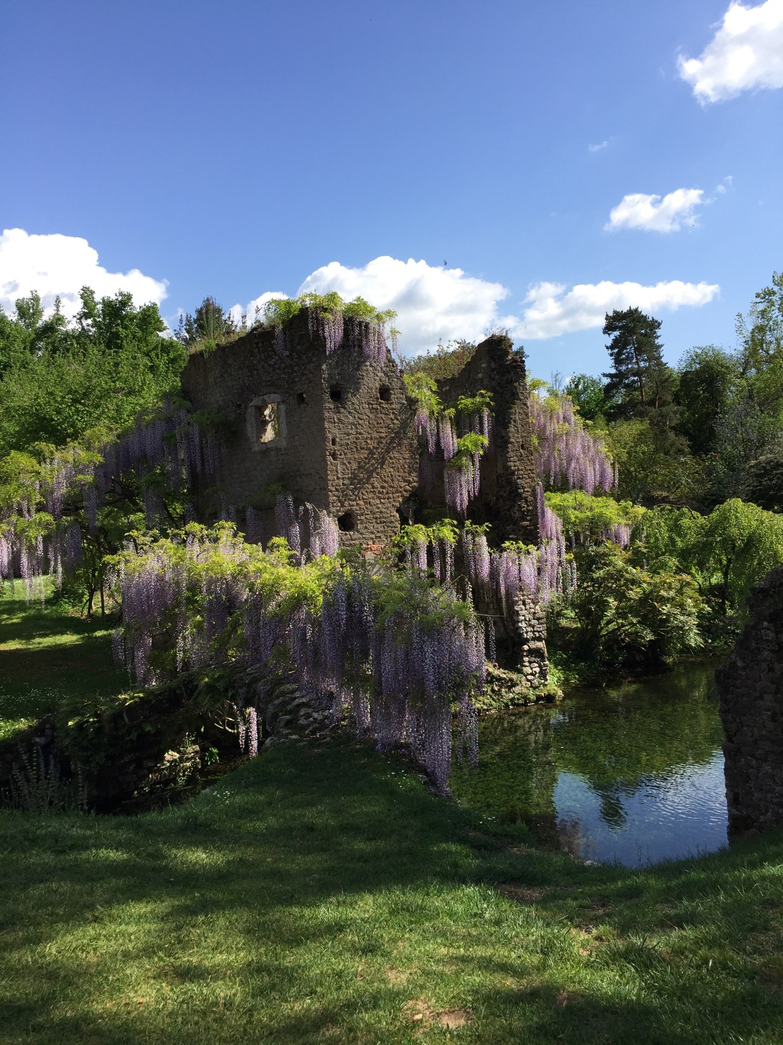 宁芙花园(ninfa garden)——随任在意大利_游记