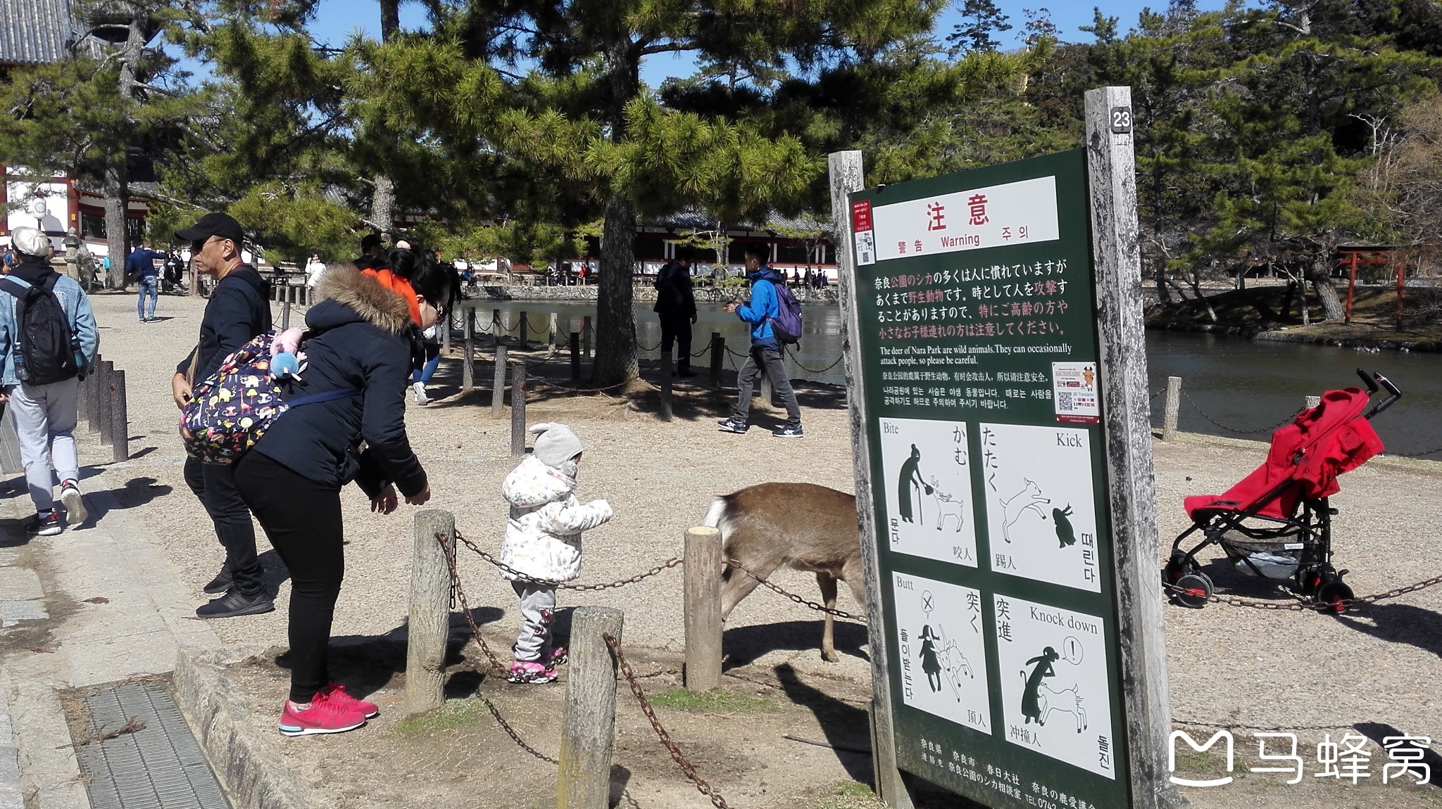 札幌自助遊攻略