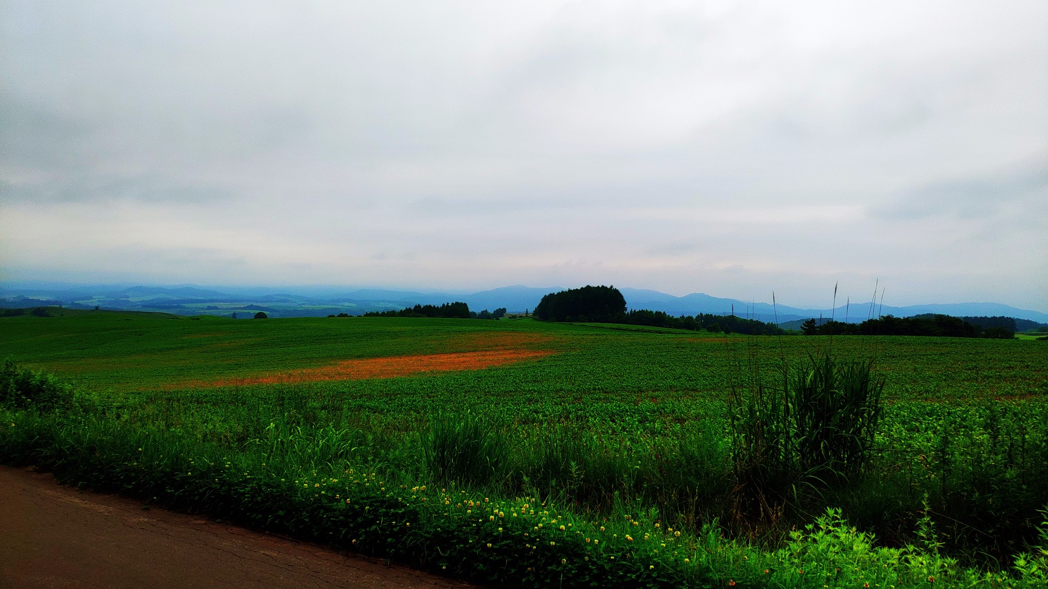 北海道自助遊攻略