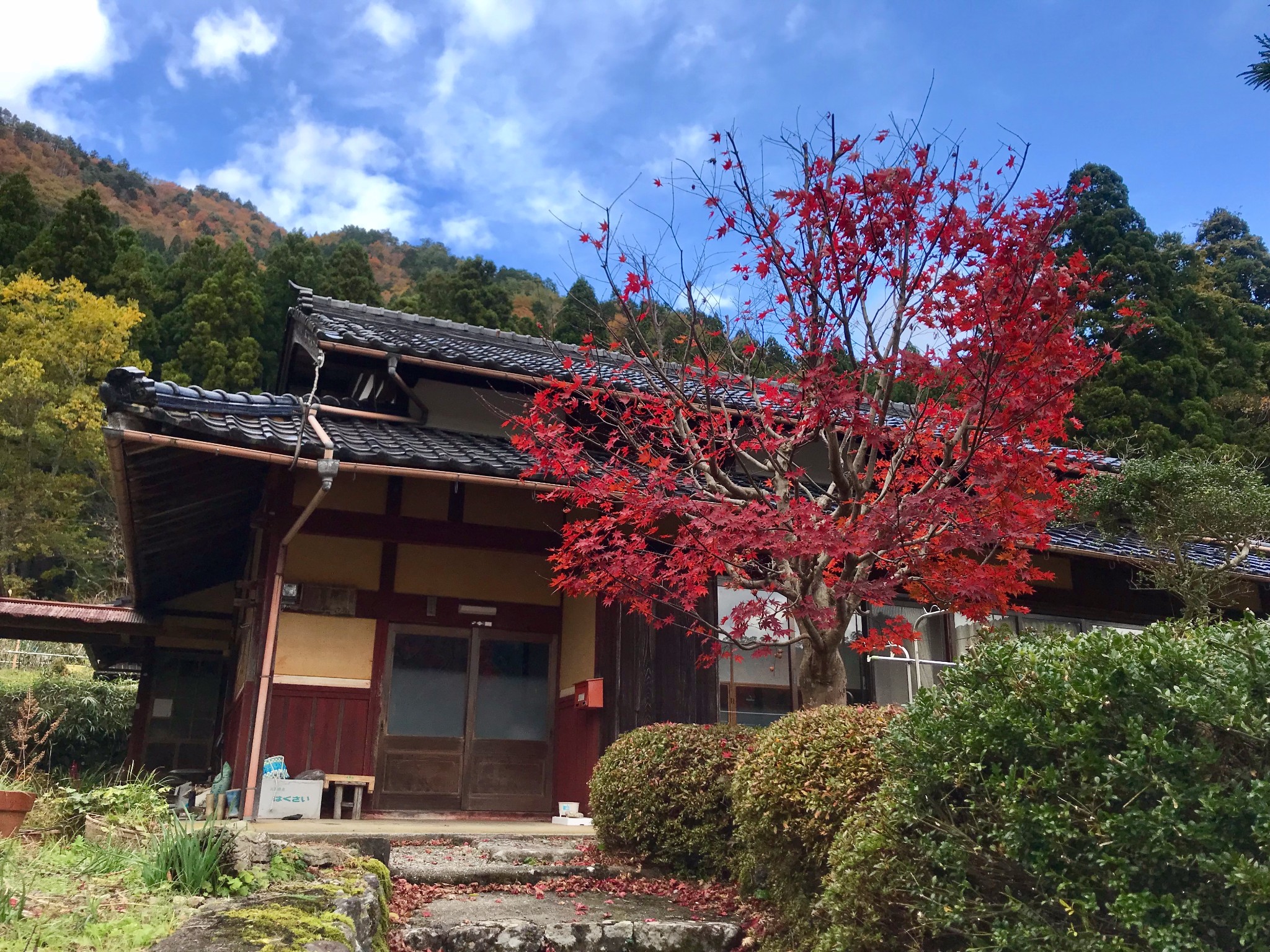 京都自助遊攻略