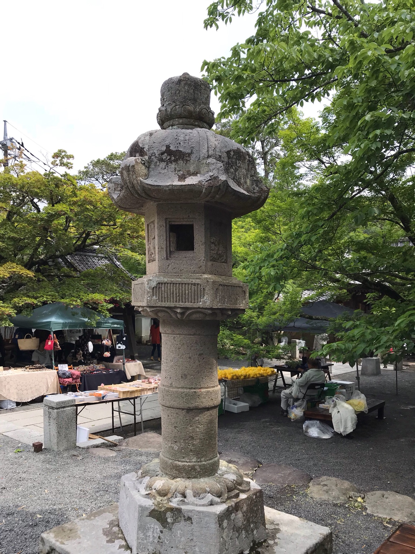 伊豆修善寺游记