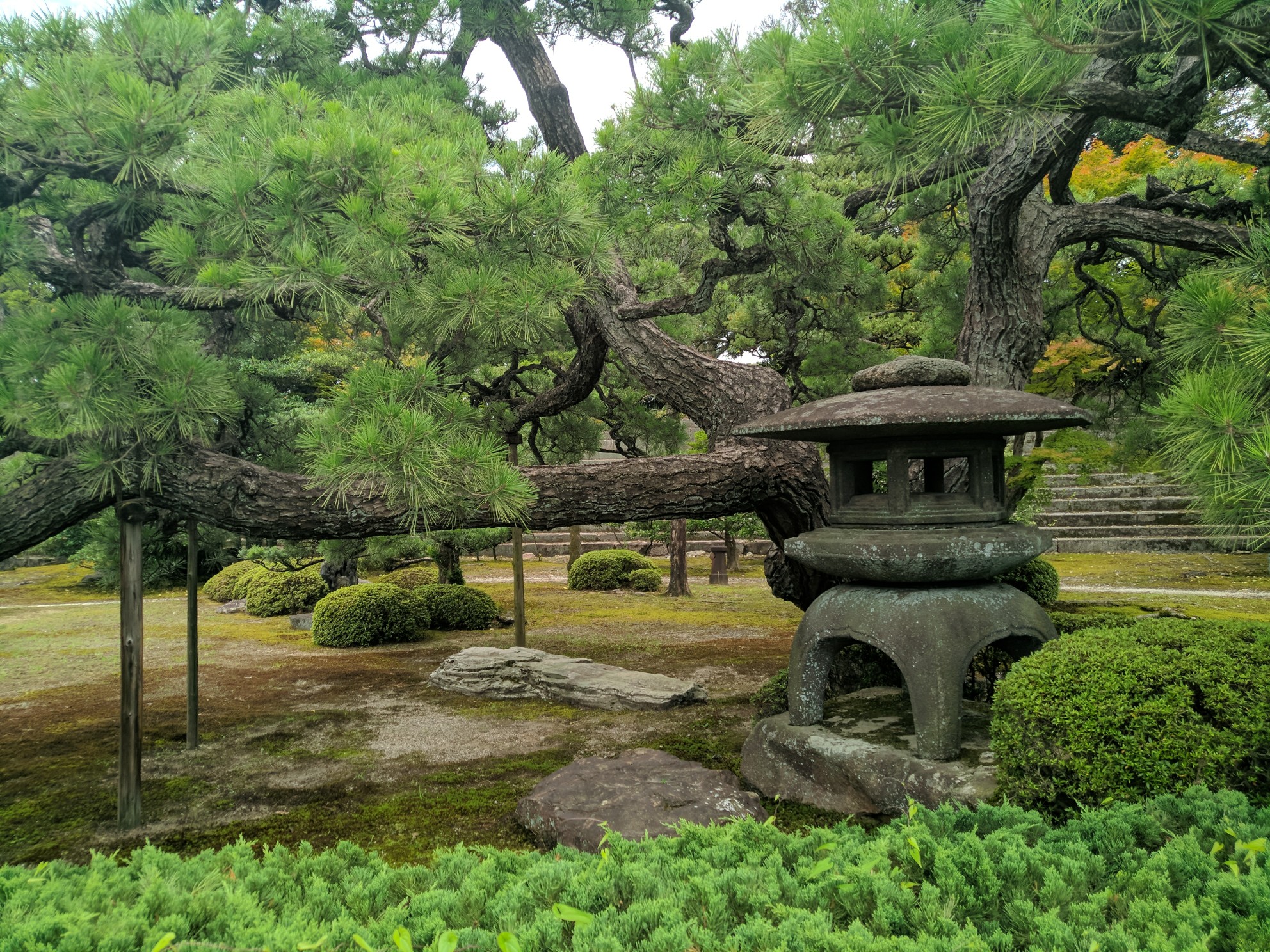 京都自助遊攻略