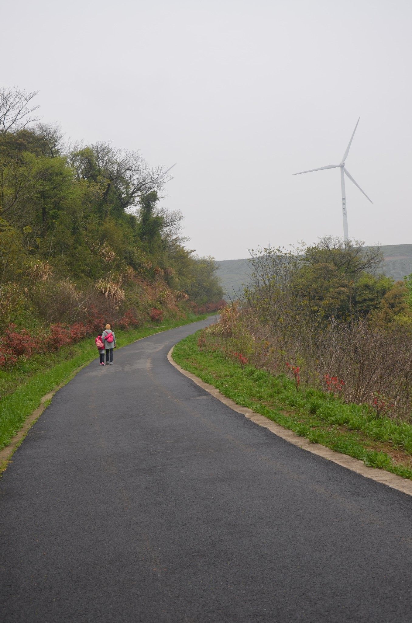 清明宁波菩提岭古道最美风车公路石梅古道行