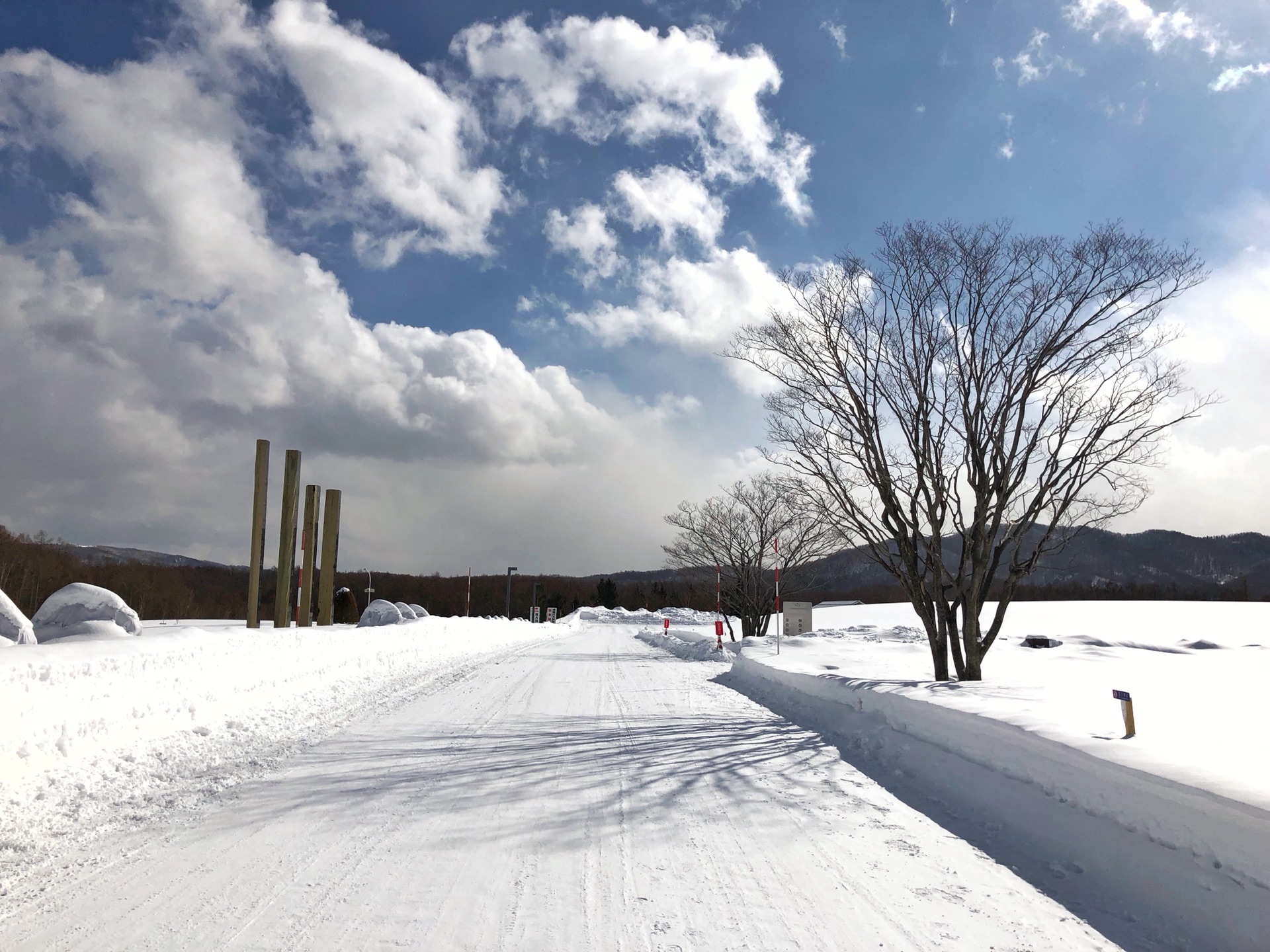 札幌自助遊攻略