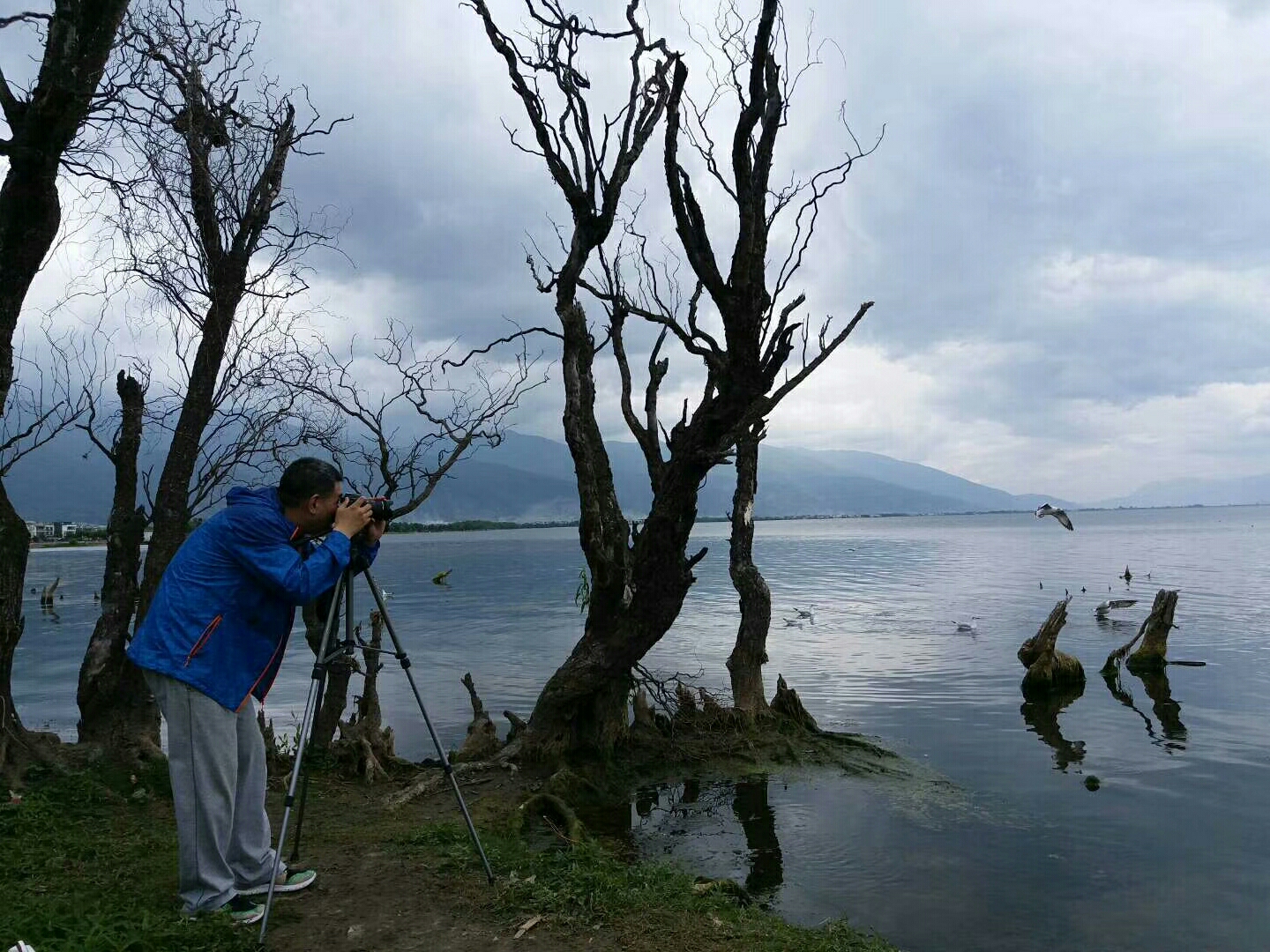 香格裡拉自助遊攻略