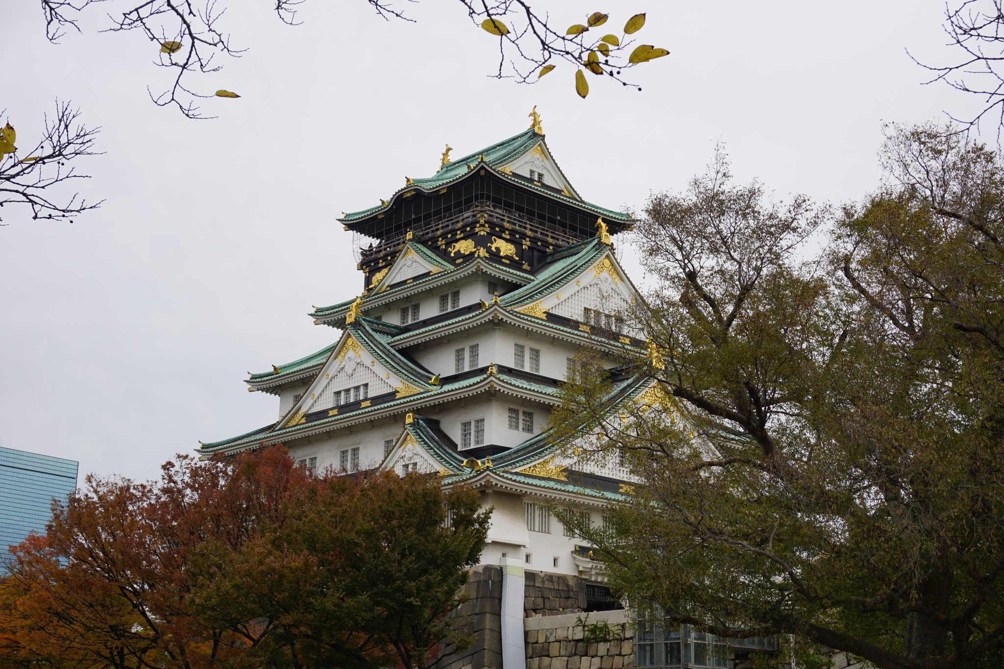 京都自助遊攻略