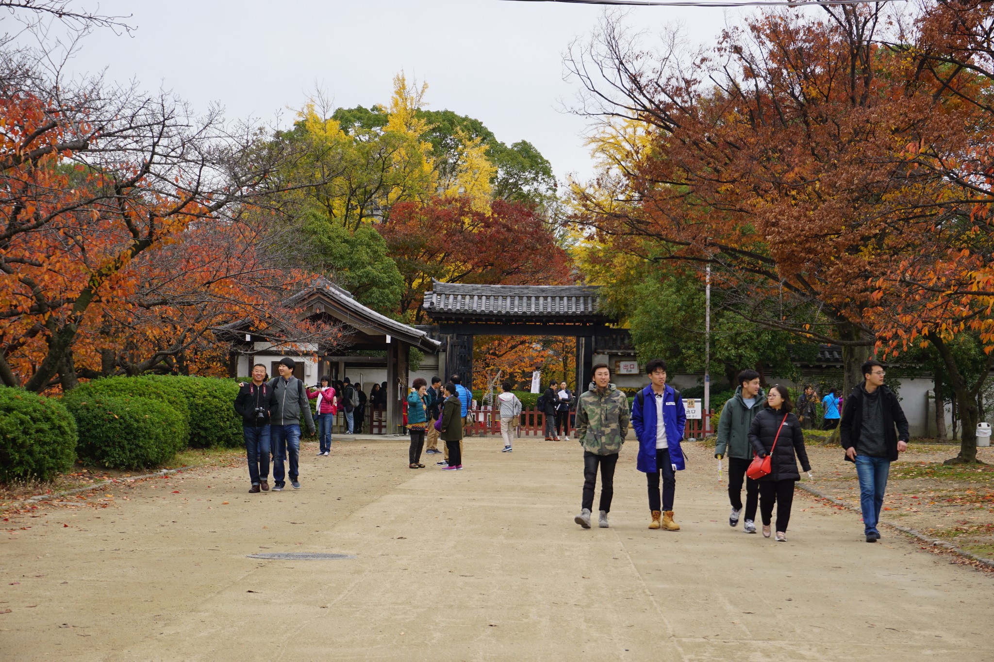 京都自助遊攻略